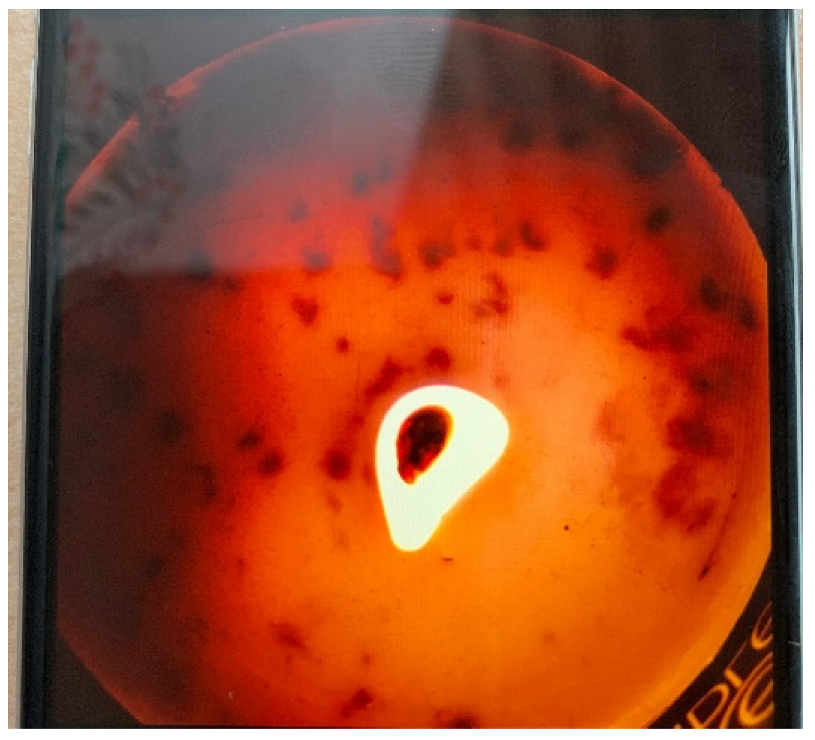 Ijerph 20 04280 g005