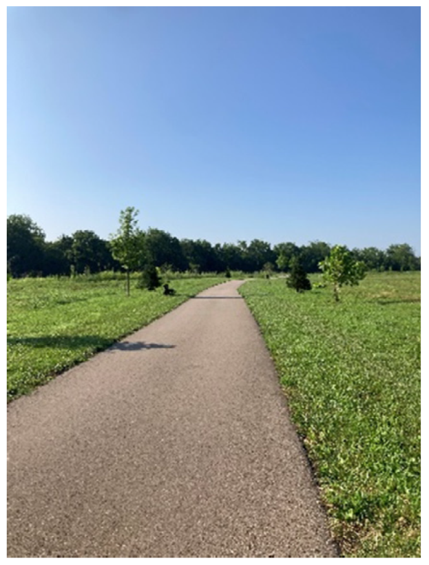 Ijerph 20 04280 g007