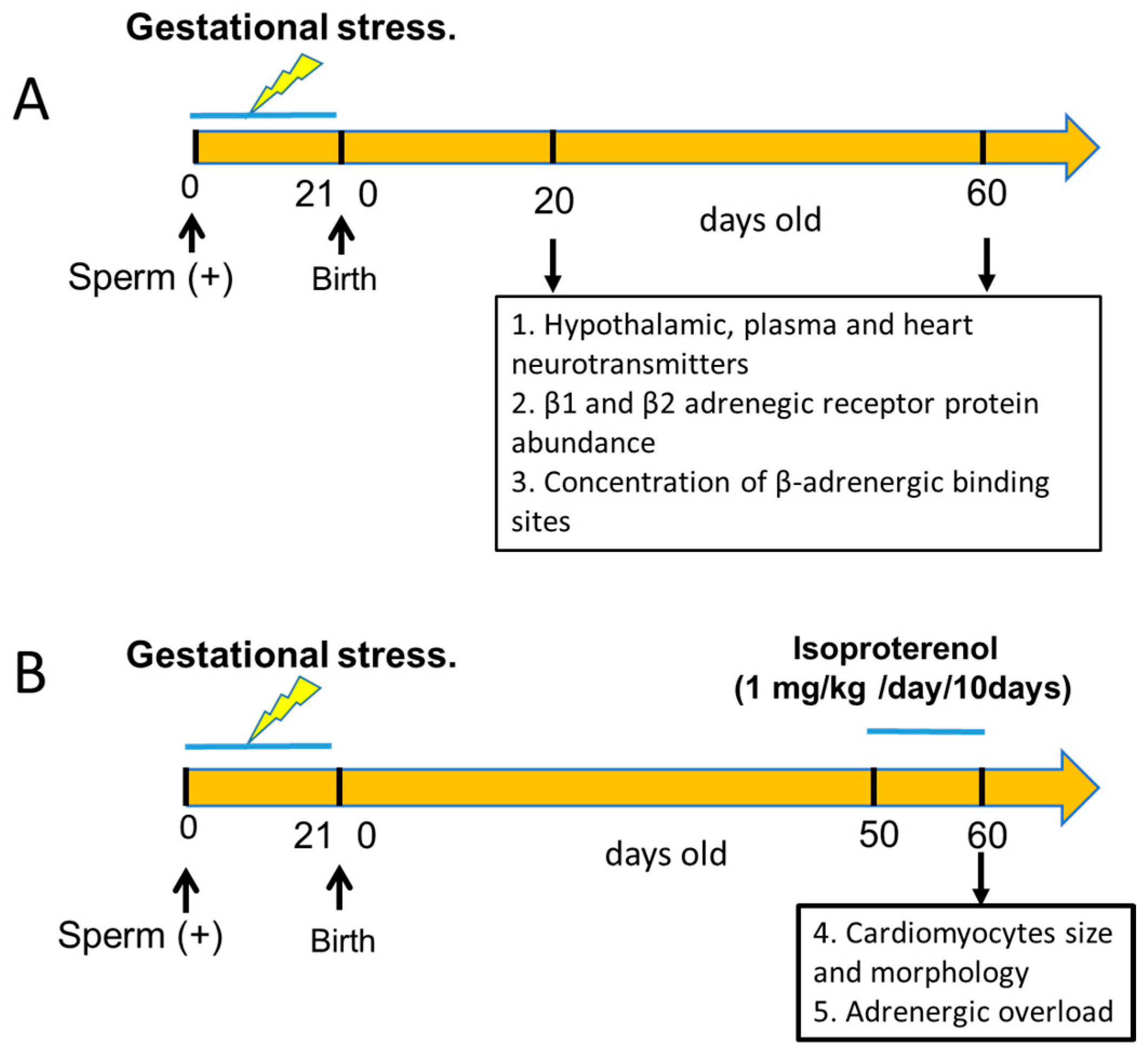 Ijerph 20 04285 g001 Ijerph 20 04285 g001