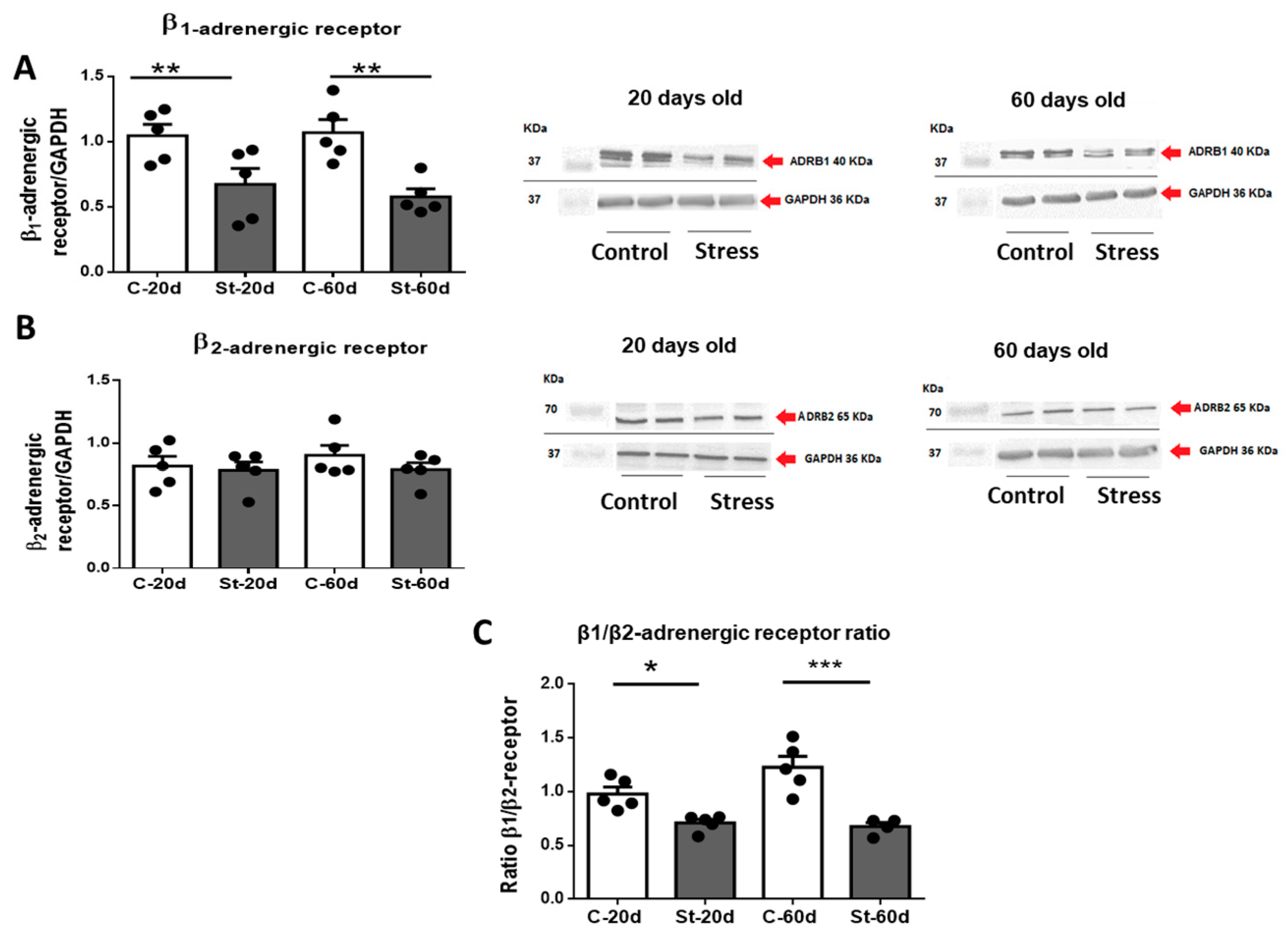 Ijerph 20 04285 g003 Ijerph 20 04285 g003