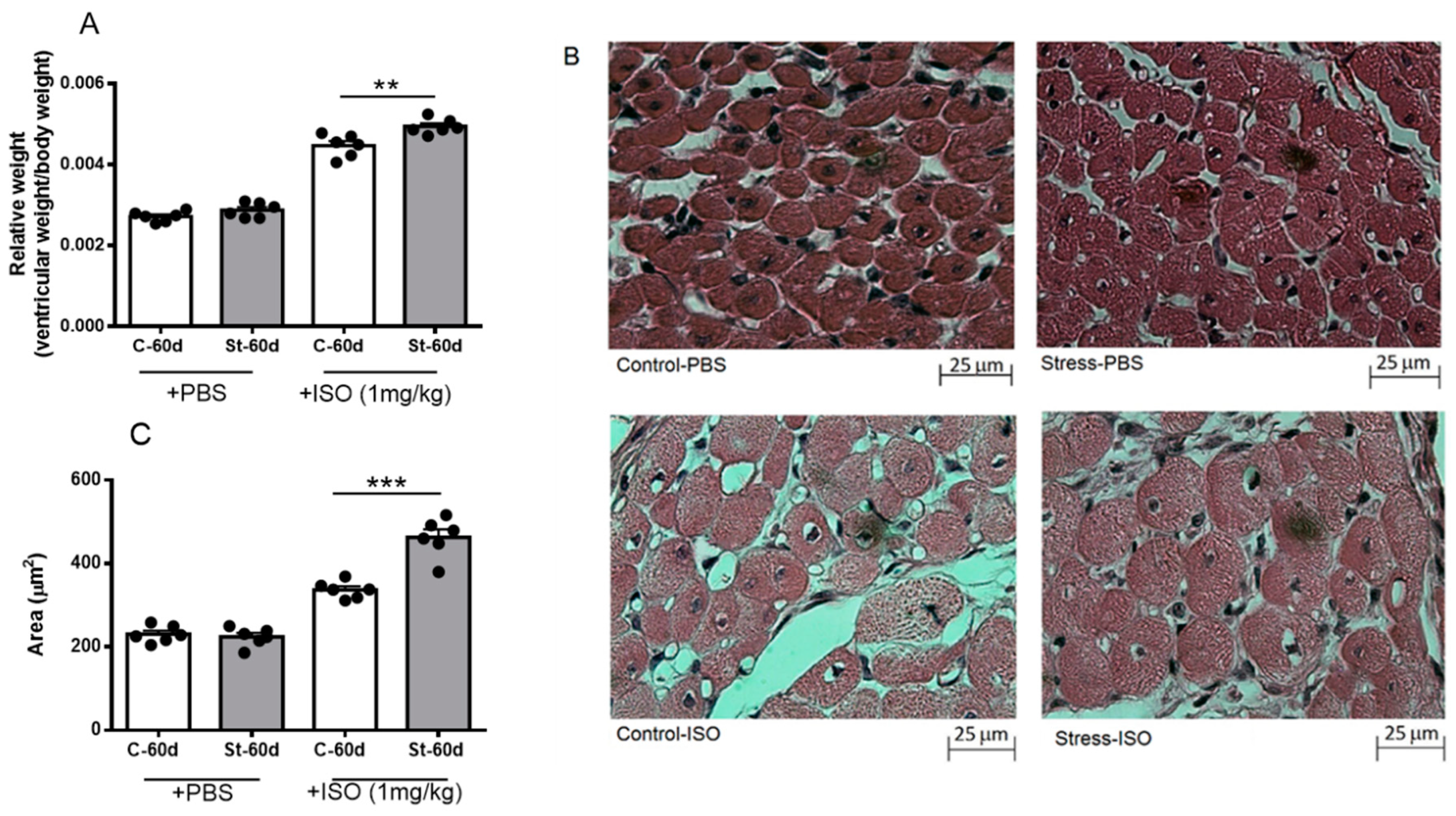 Ijerph 20 04285 g005 Ijerph 20 04285 g005