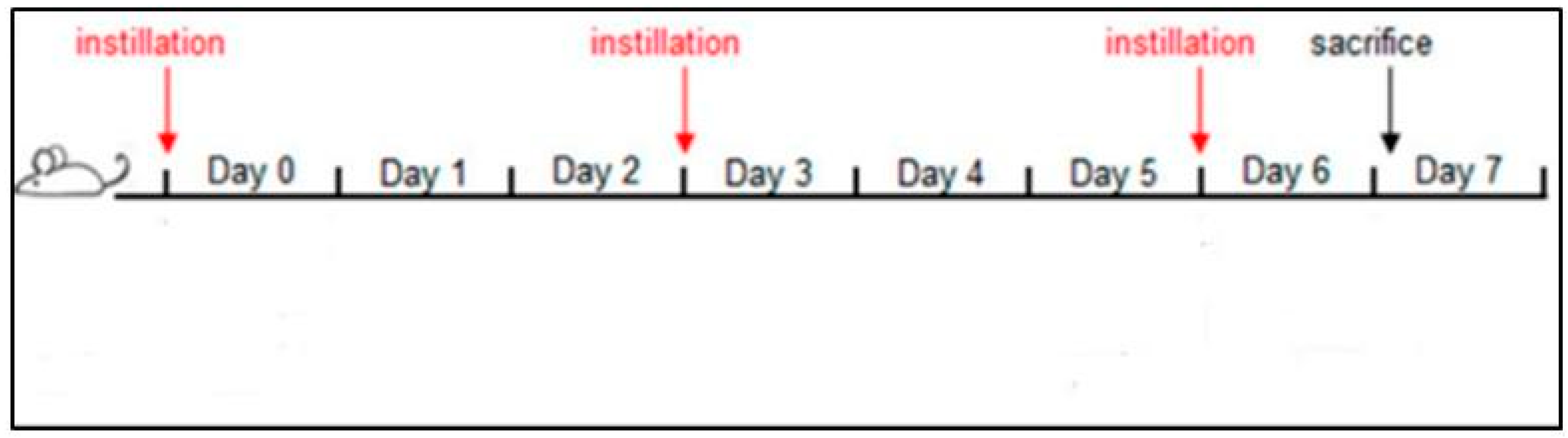 Ijerph 20 04393 g001