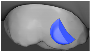 Ijerph 20 04481 i017