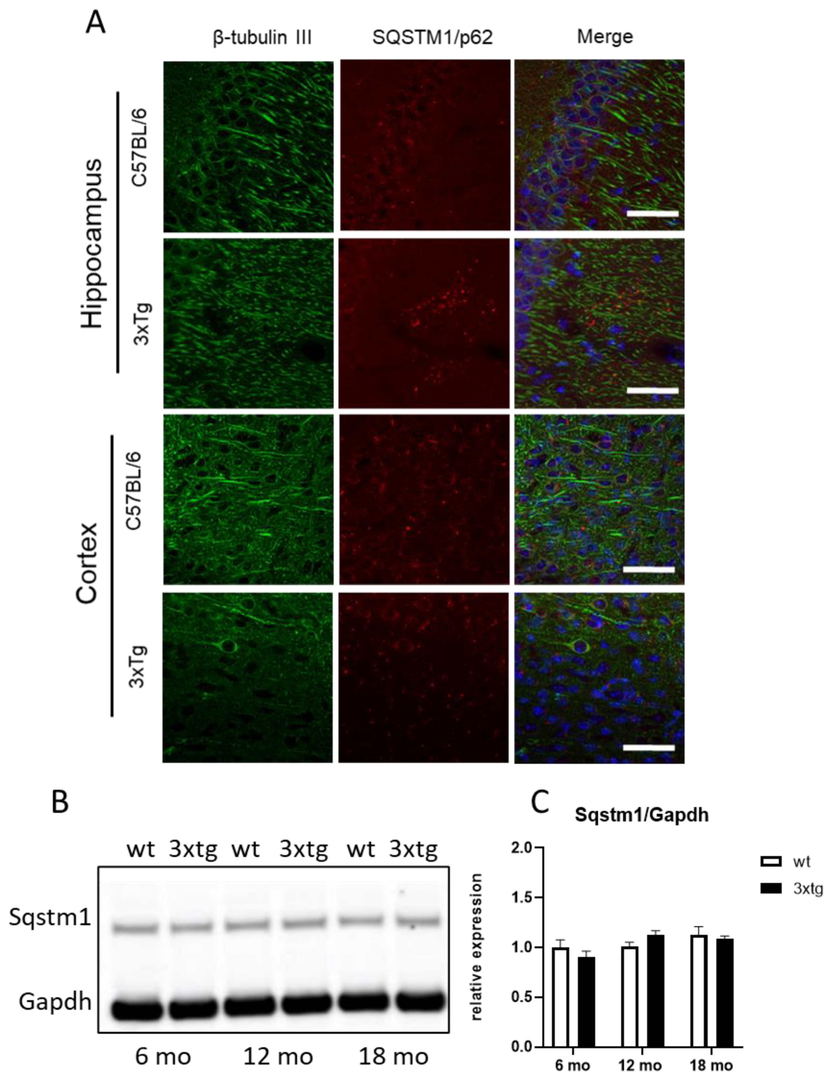 Ijerph 20 04540 g002