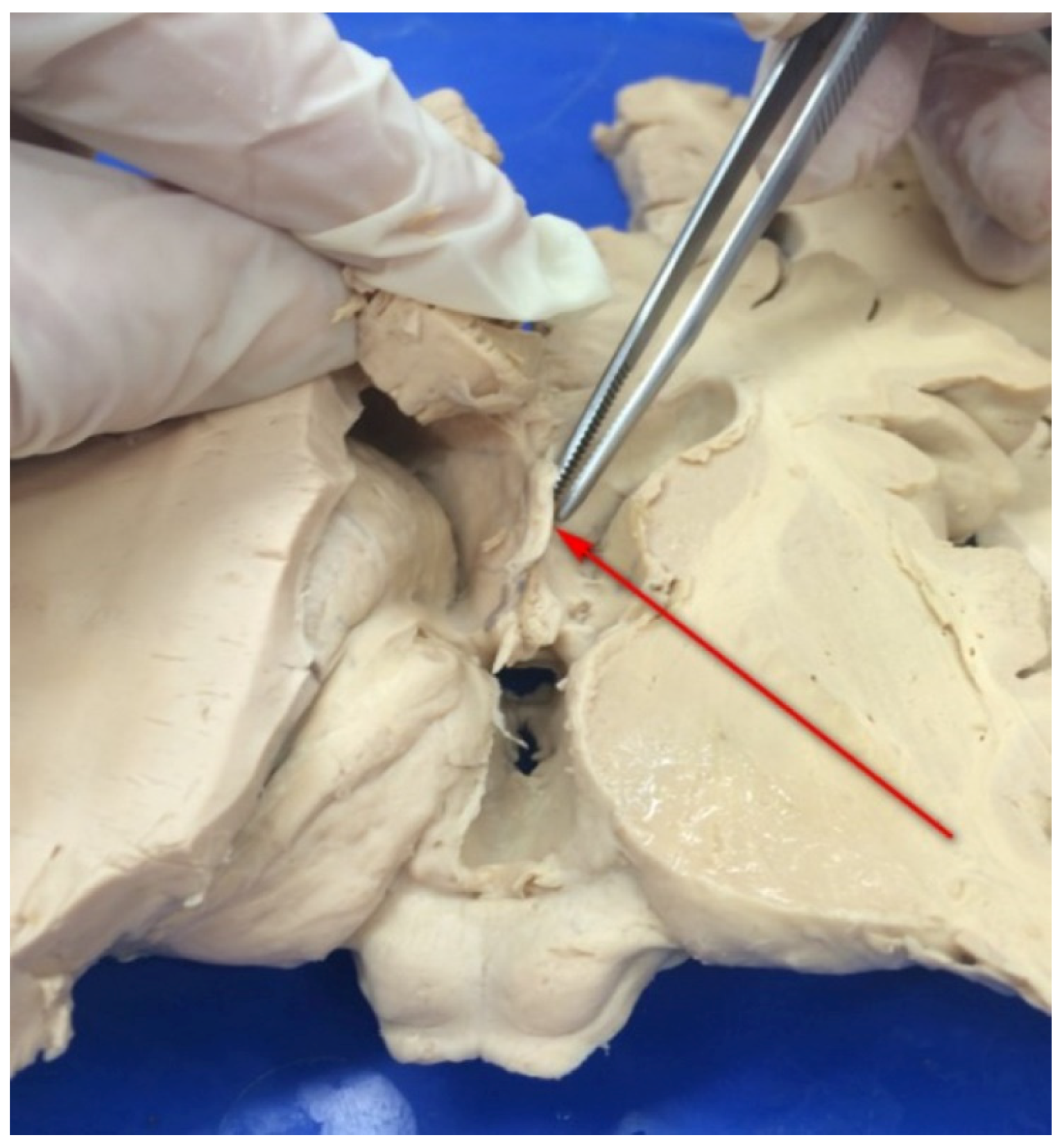 Ijerph 20 04592 g002