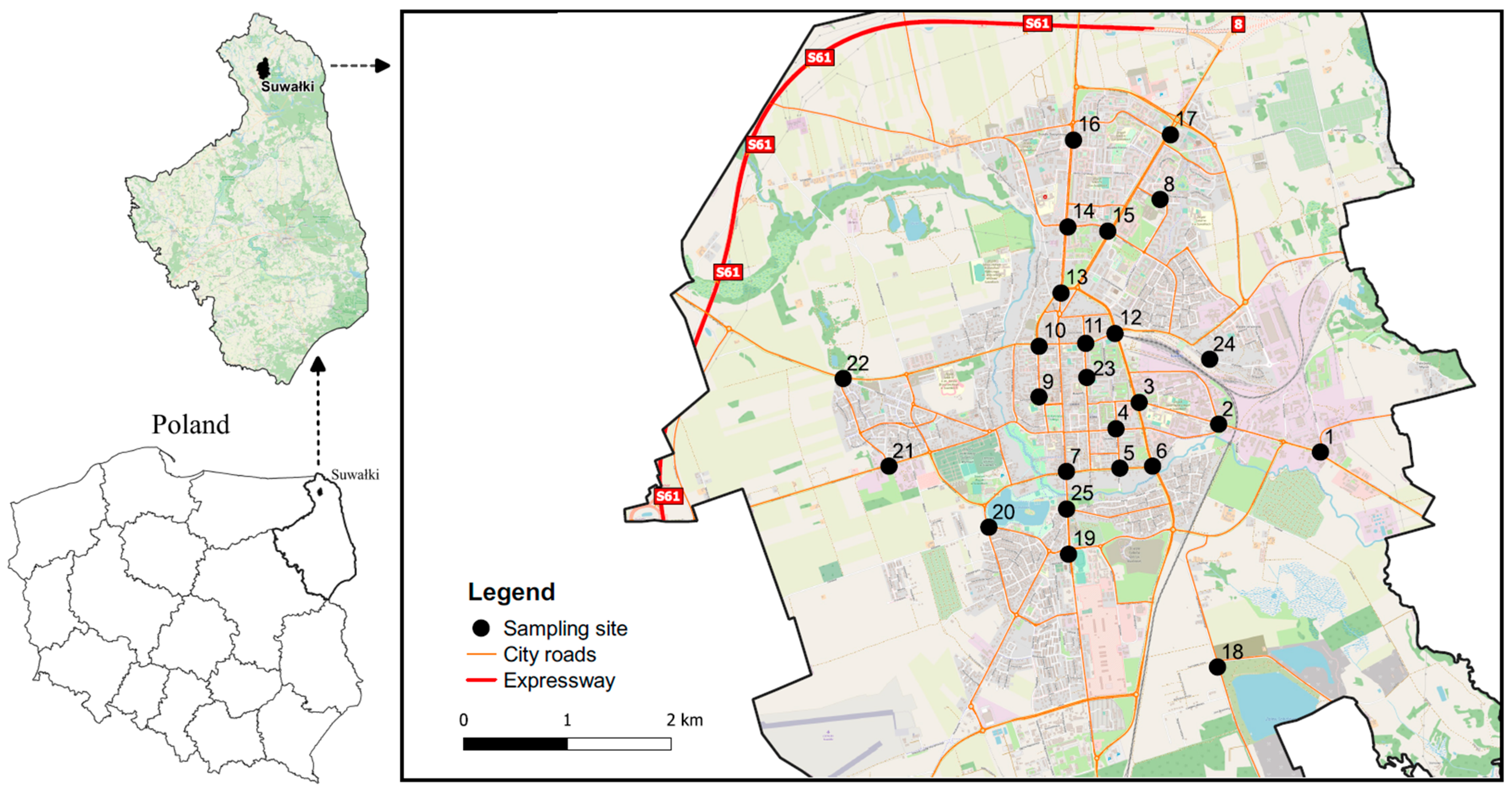 Ijerph 20 04687 g001