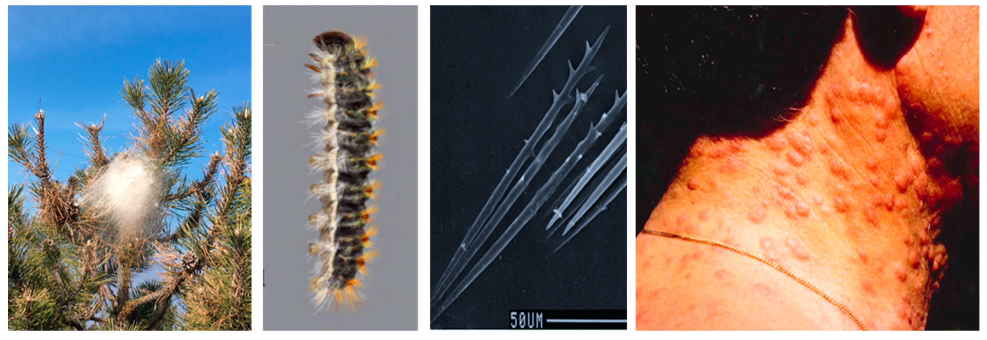 Ijerph 20 04735 g001