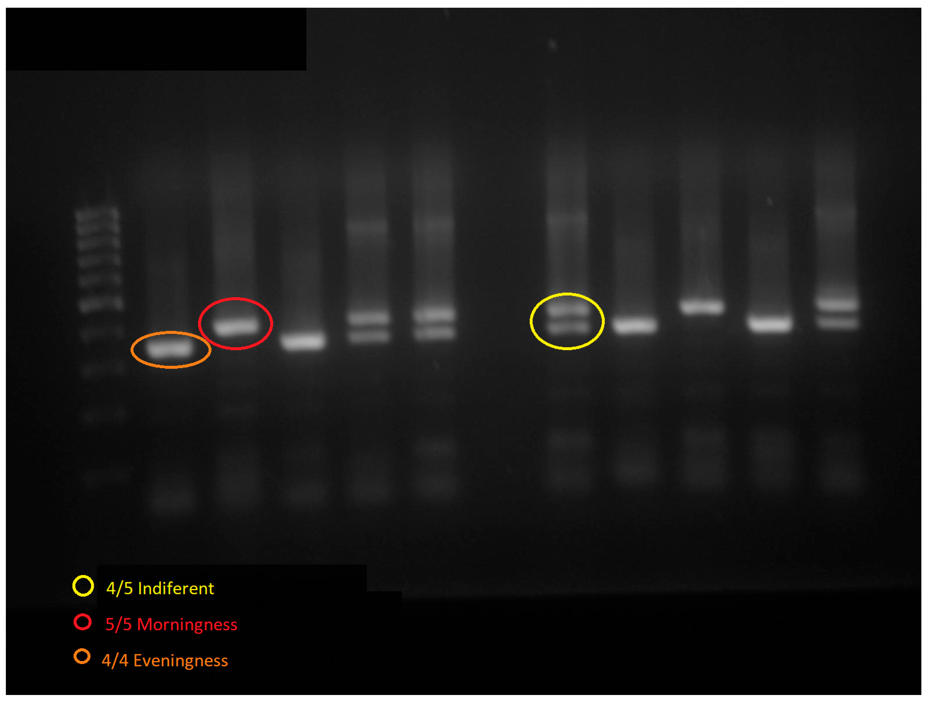 Ijerph 20 04760 g002 Ijerph 20 04760 g002