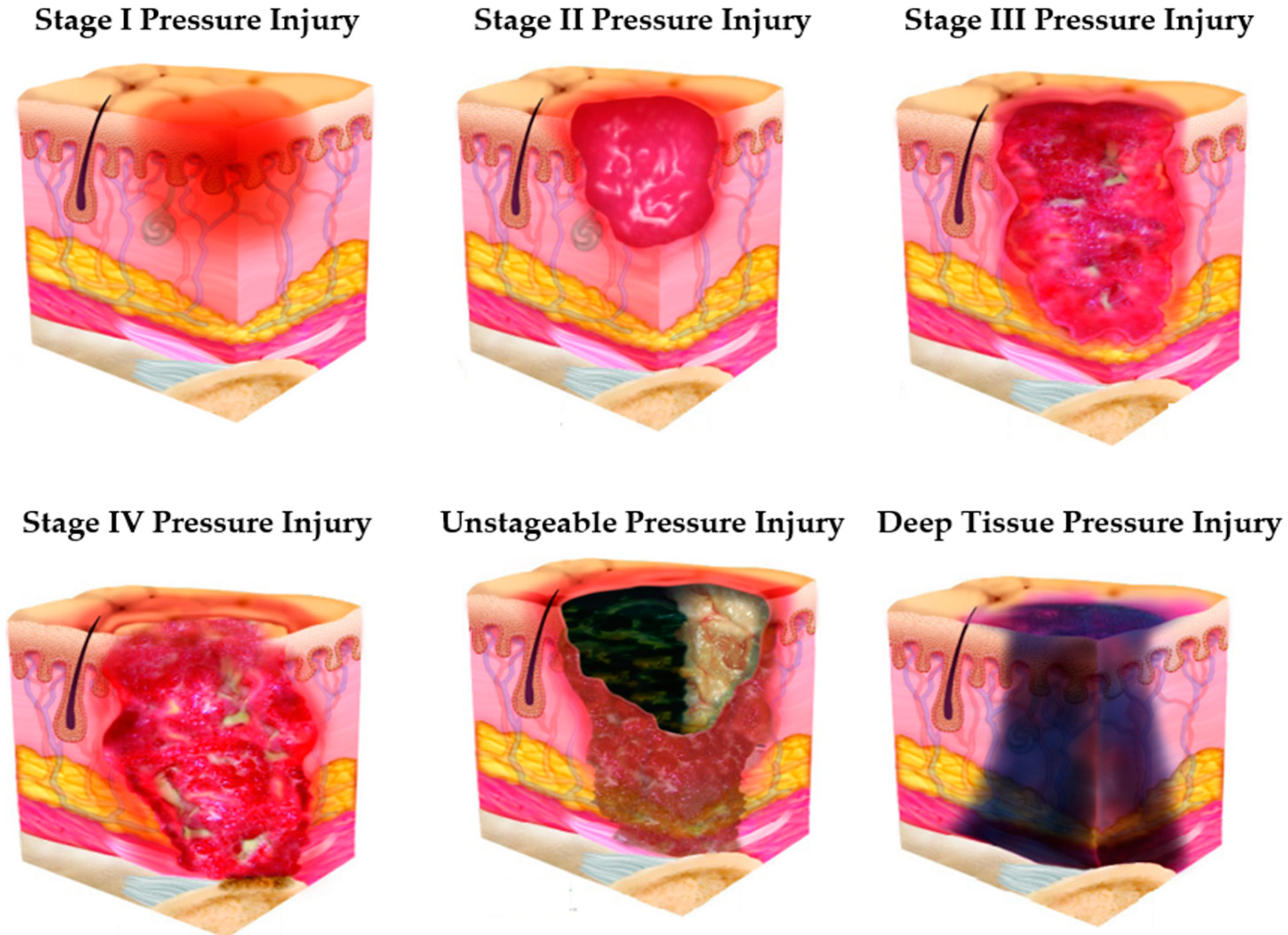 Ijerph 20 04911 g001