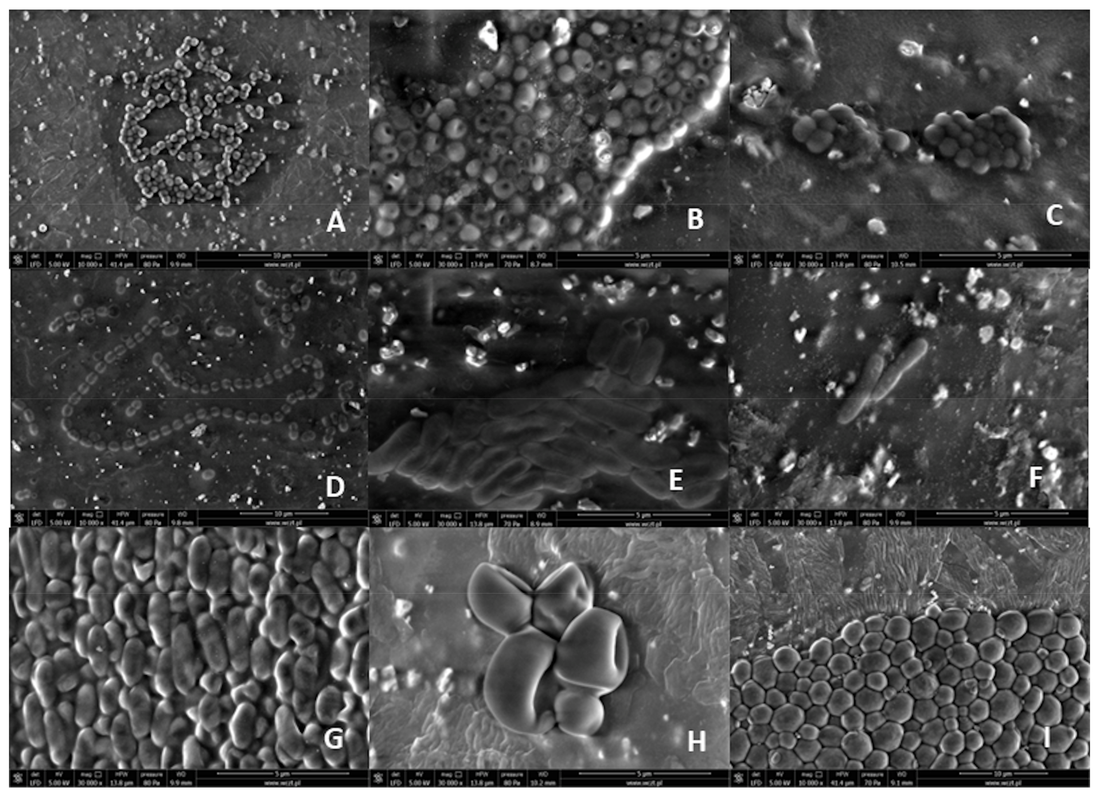 Ijerph 20 05028 g001