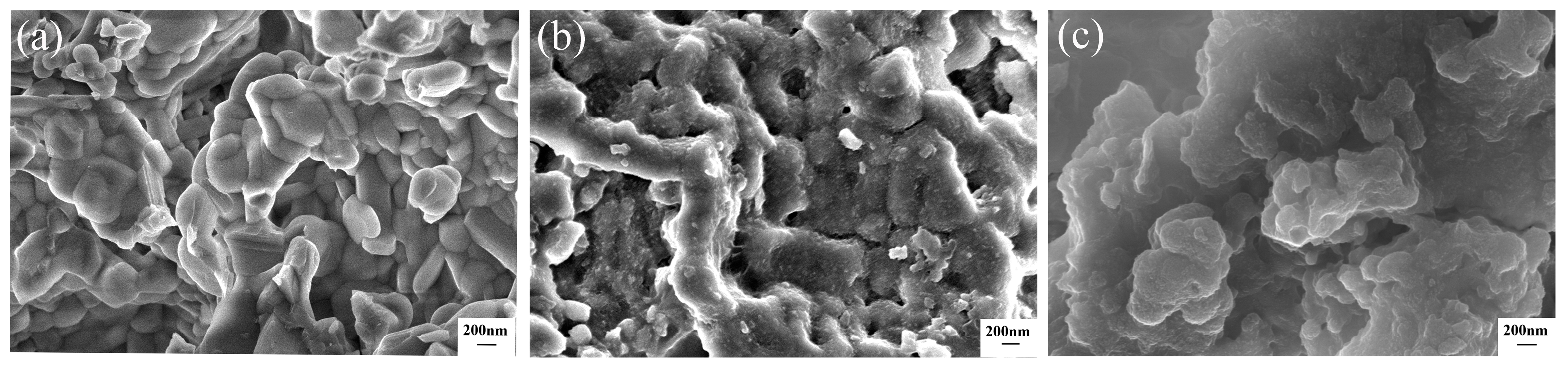 Ijerph 20 05042 g008