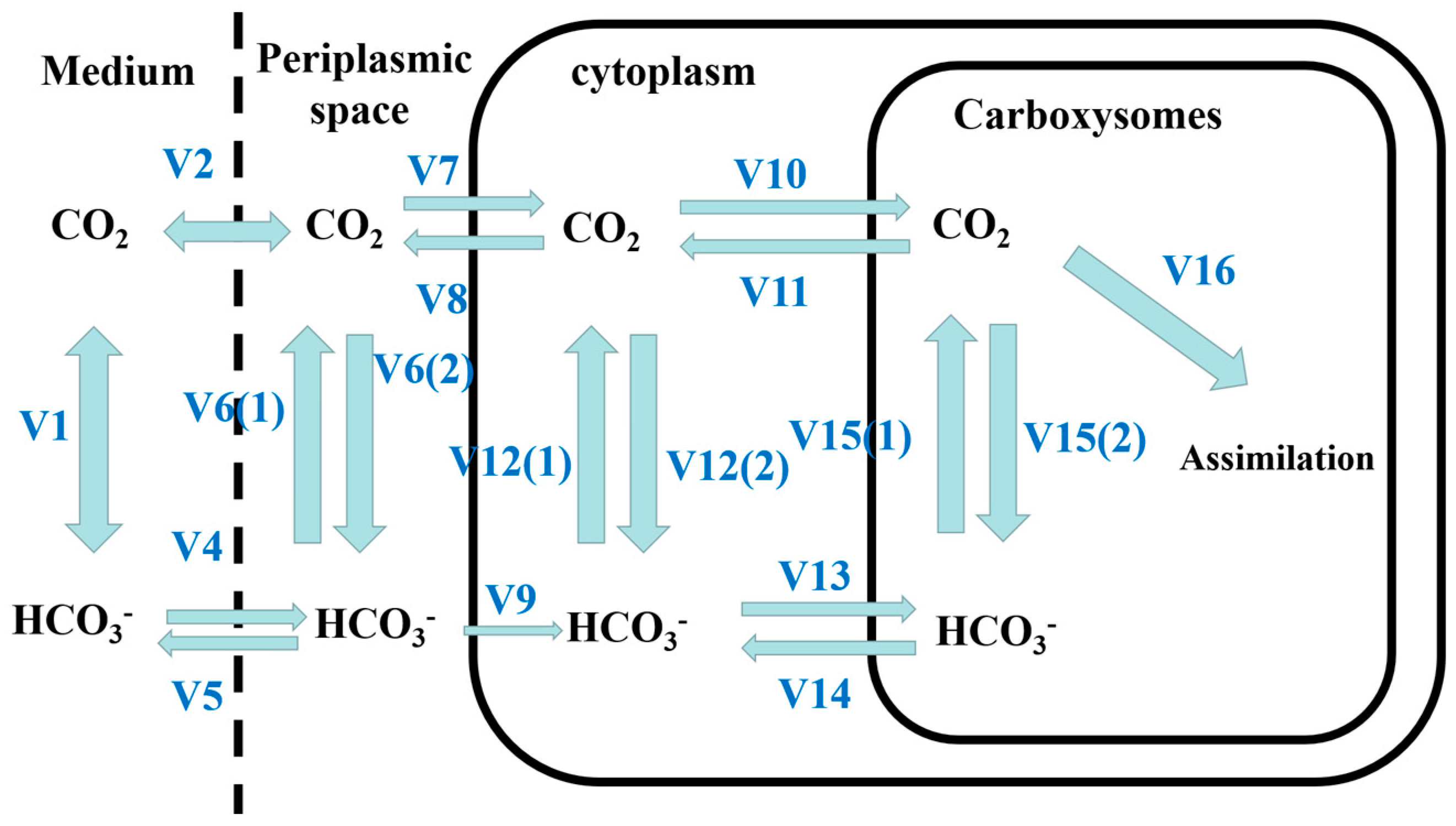 Ijerph 20 05047 g001