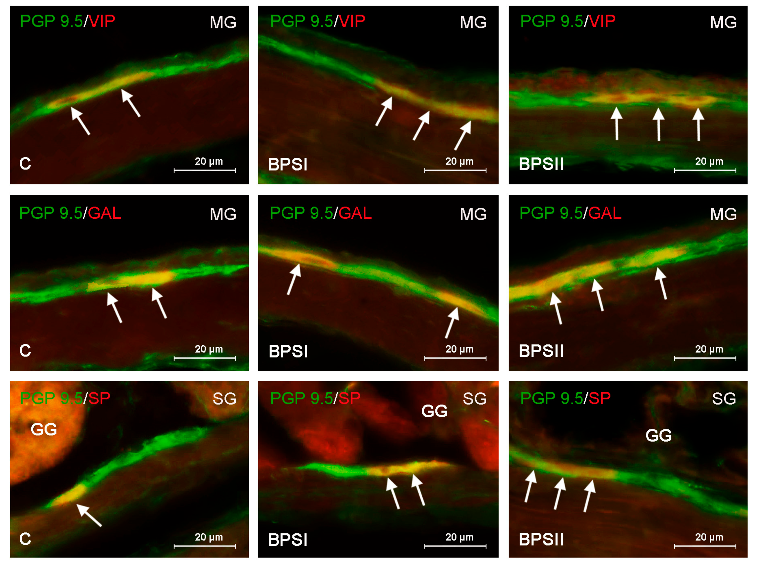 Ijerph 20 05125 g002