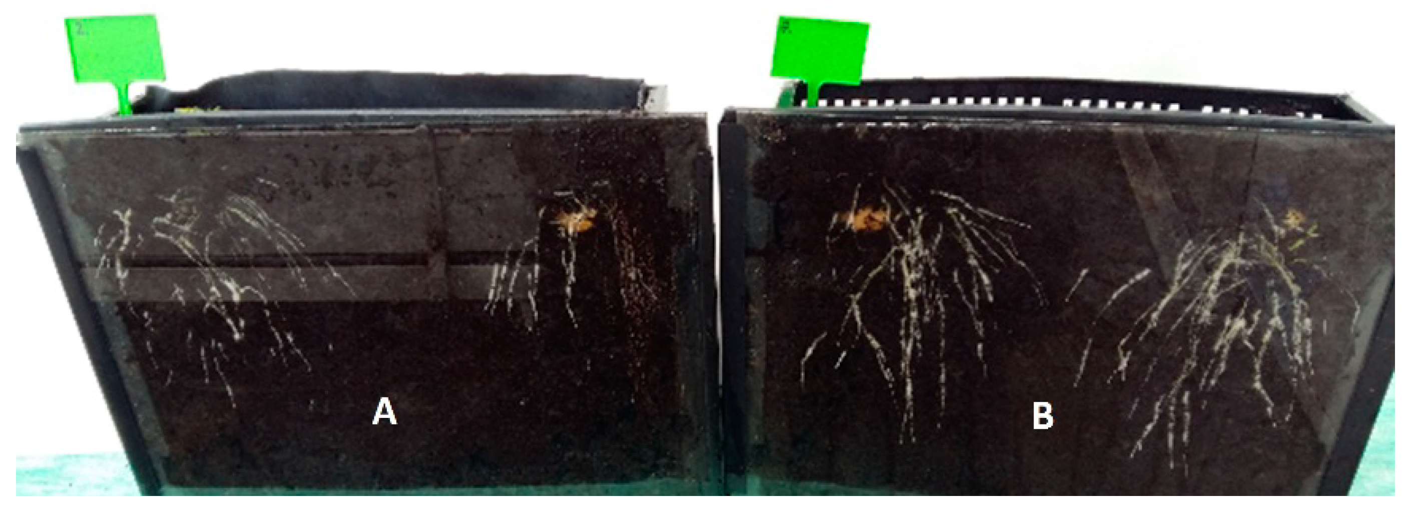 Ijerph 20 05221 g002 Ijerph 20 05221 g002