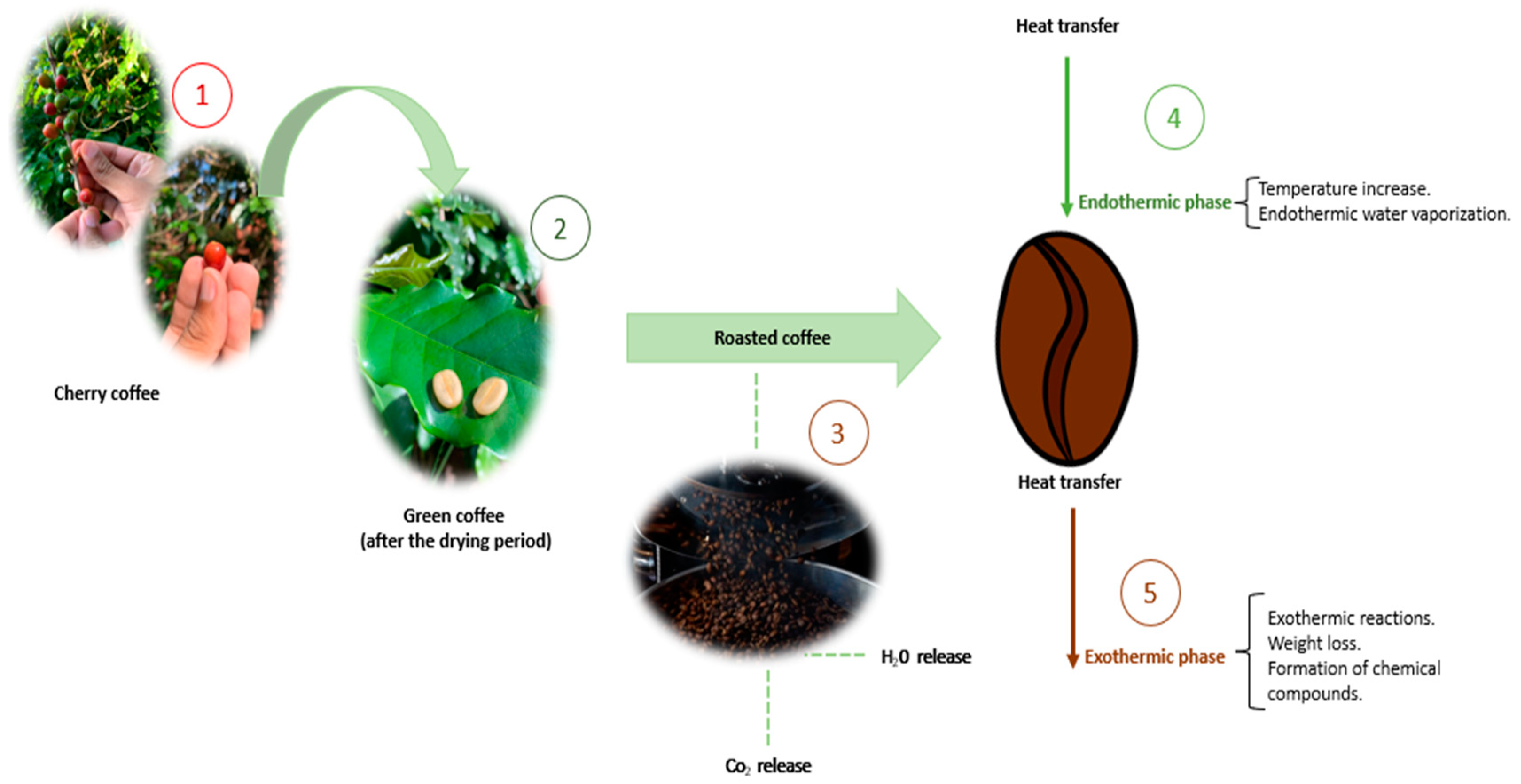 Ijerph 20 05586 g003