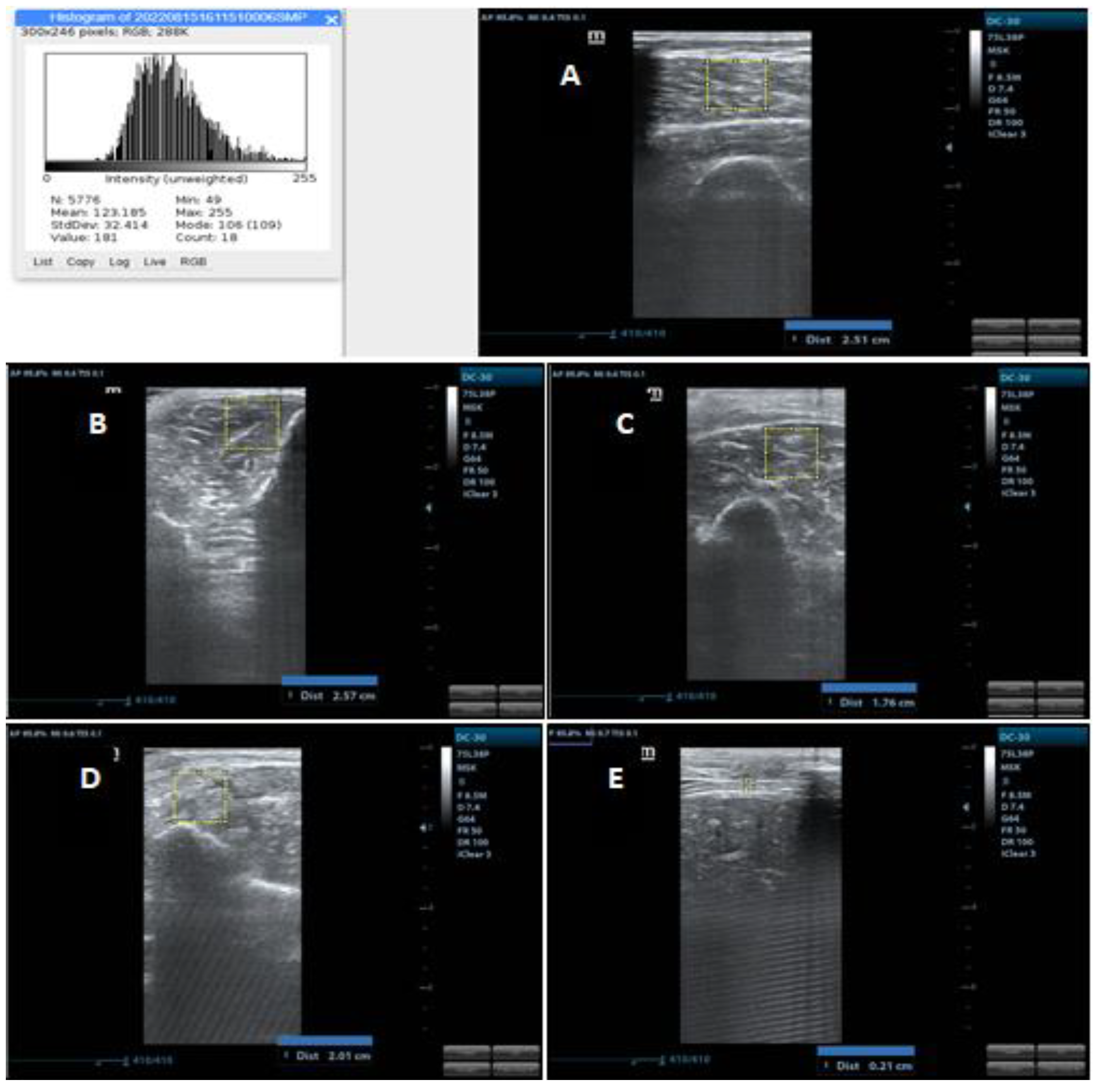Ijerph 20 05636 g002 Ijerph 20 05636 g002