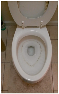 Ijerph 20 05656 i001