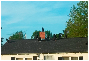 Ijerph 20 05656 i002