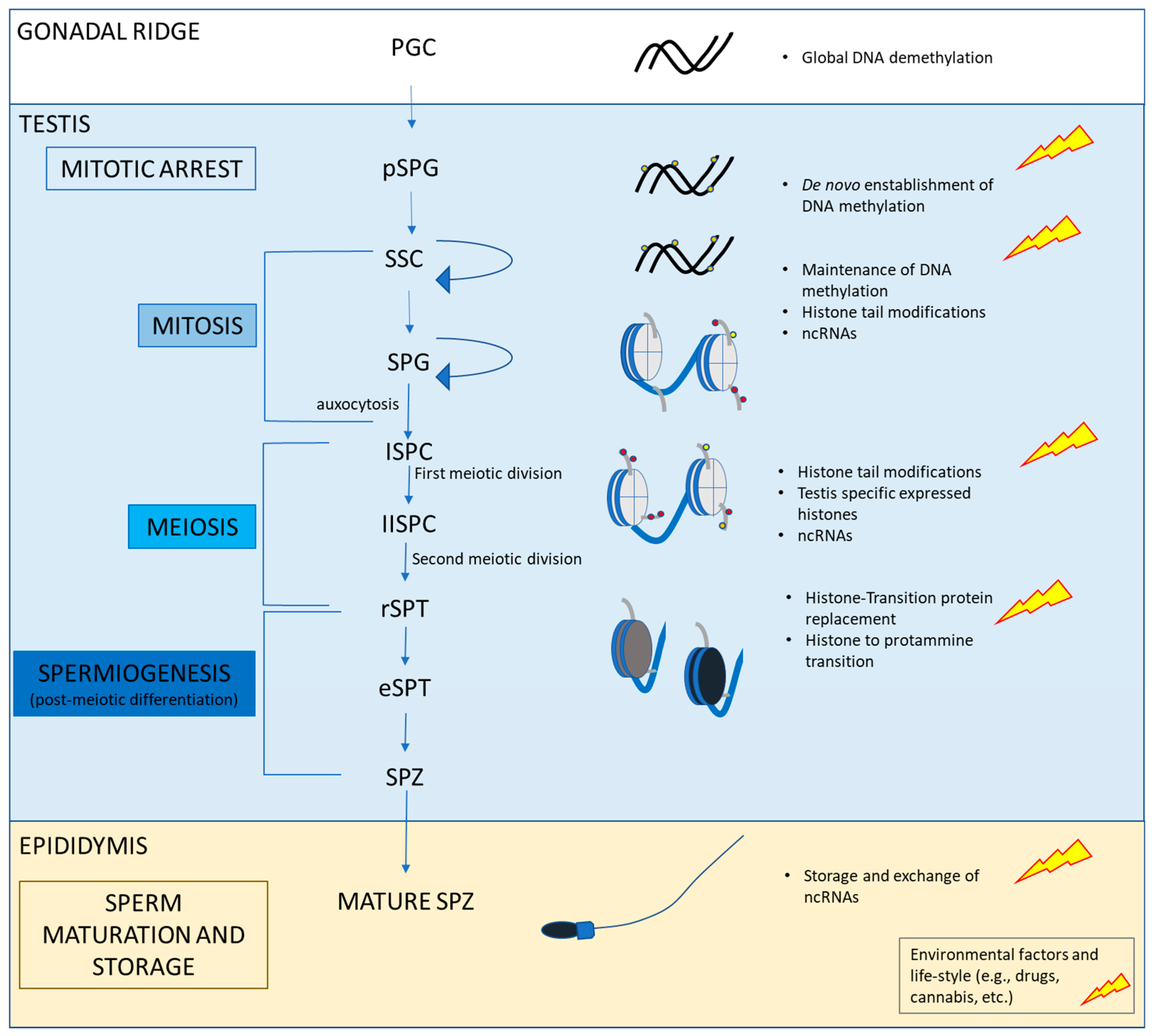Ijerph 20 05663 g001