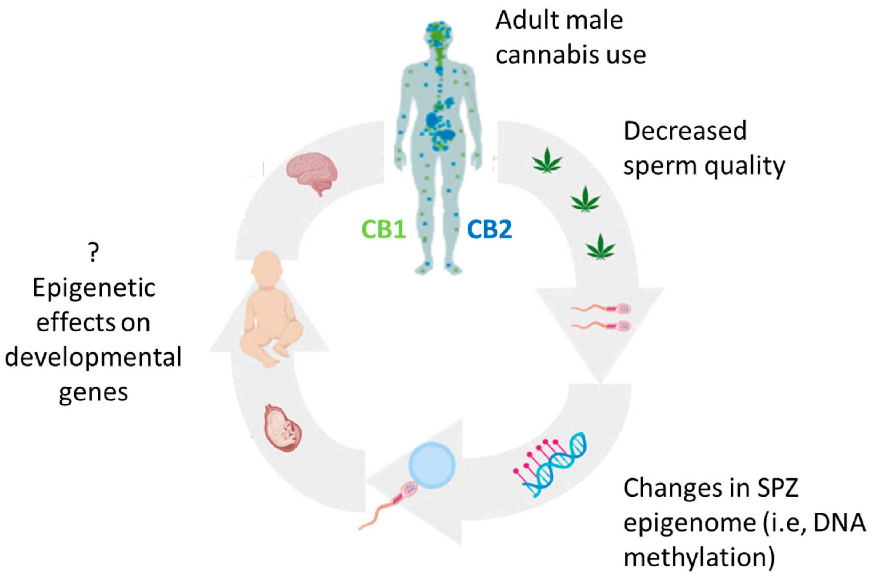 Ijerph 20 05663 g002