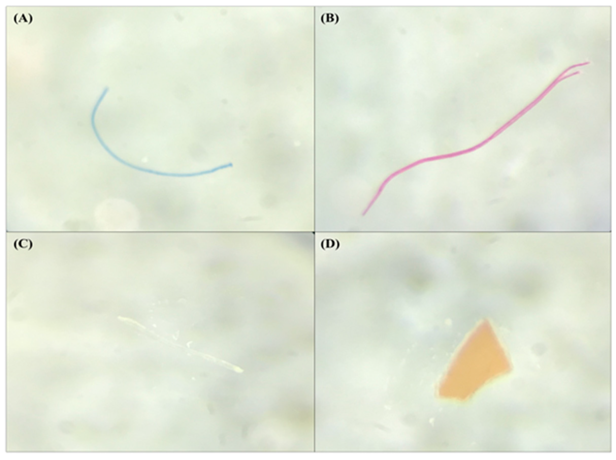 Ijerph 20 06132 g002