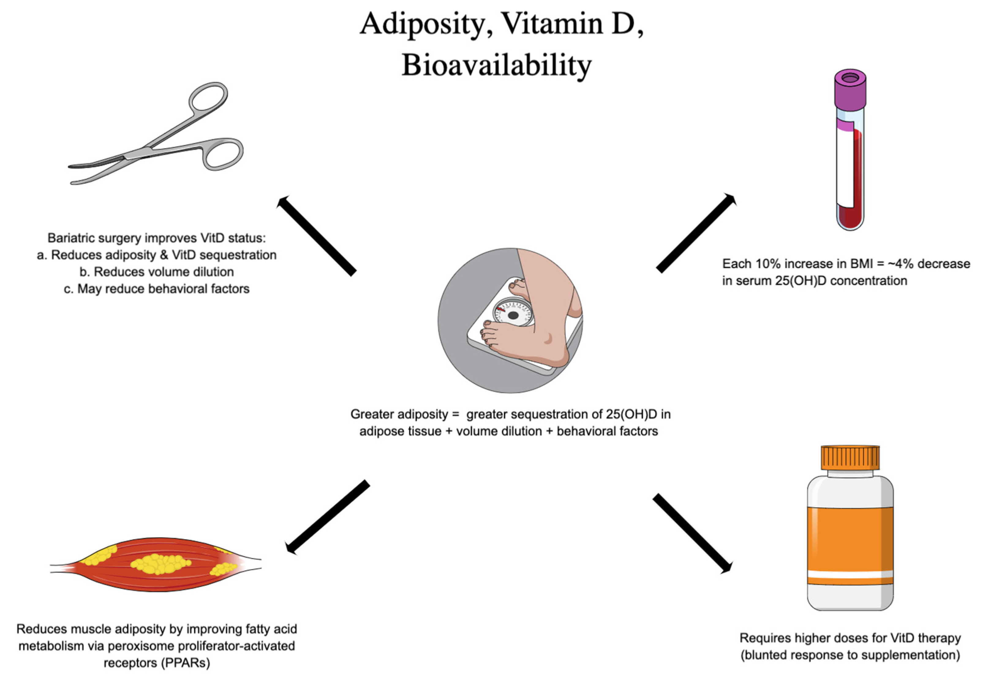 Ijerph 20 06187 g002 Ijerph 20 06187 g002