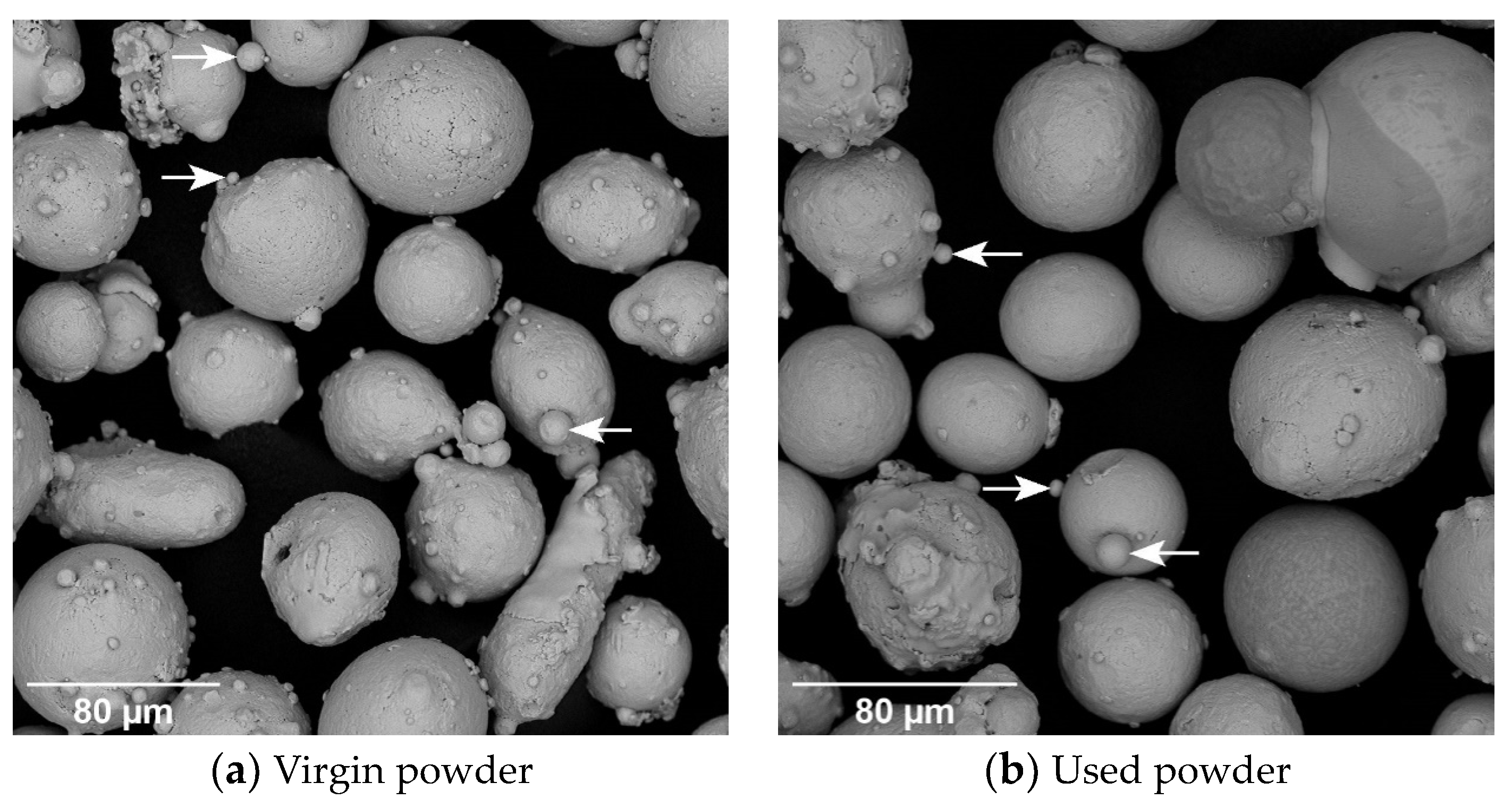 Ijerph 20 06206 g001 Ijerph 20 06206 g001