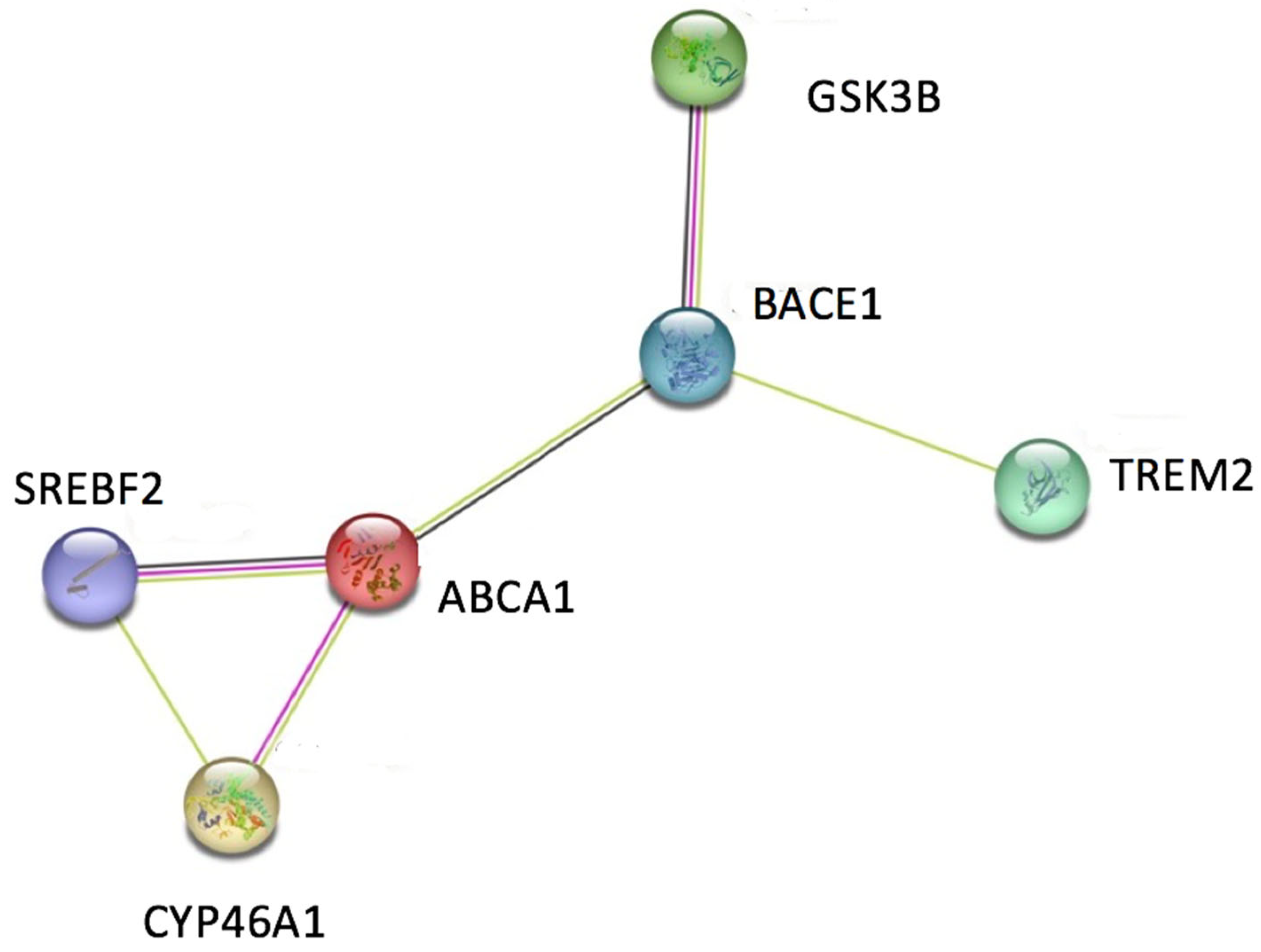 Ijerph 20 06217 g002 Ijerph 20 06217 g002