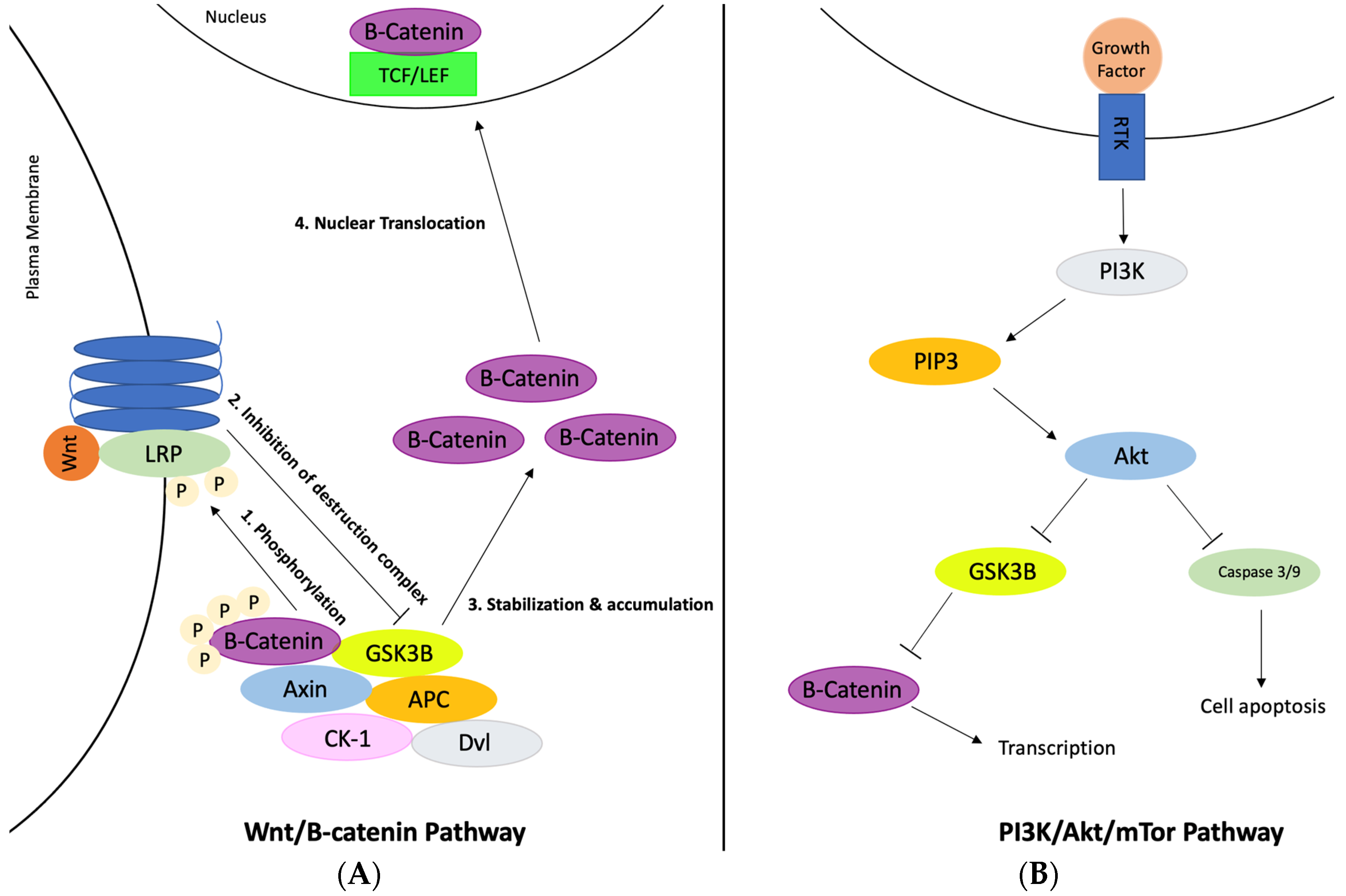 Ijerph 20 06217 g003 Ijerph 20 06217 g003
