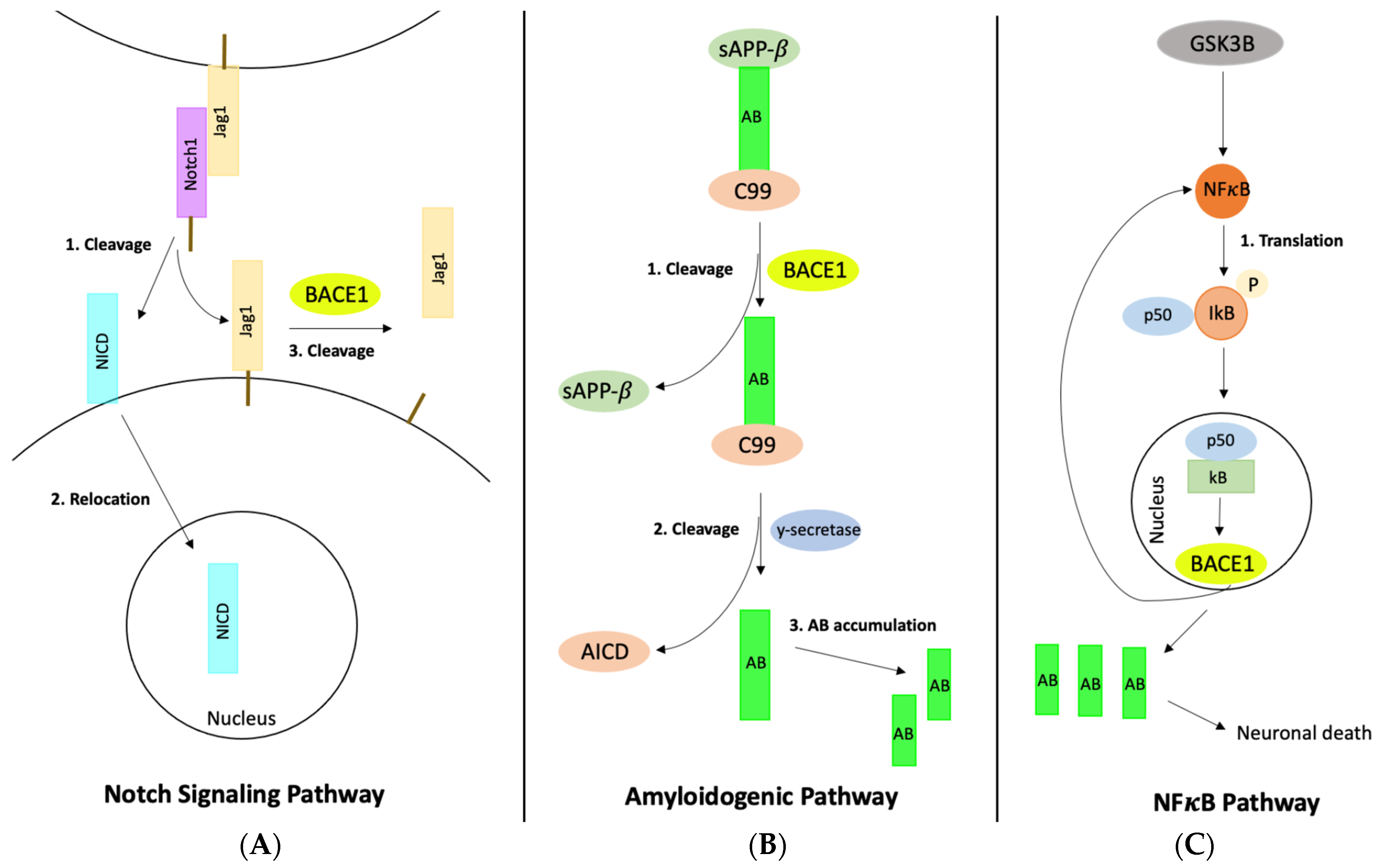 Ijerph 20 06217 g004 Ijerph 20 06217 g004