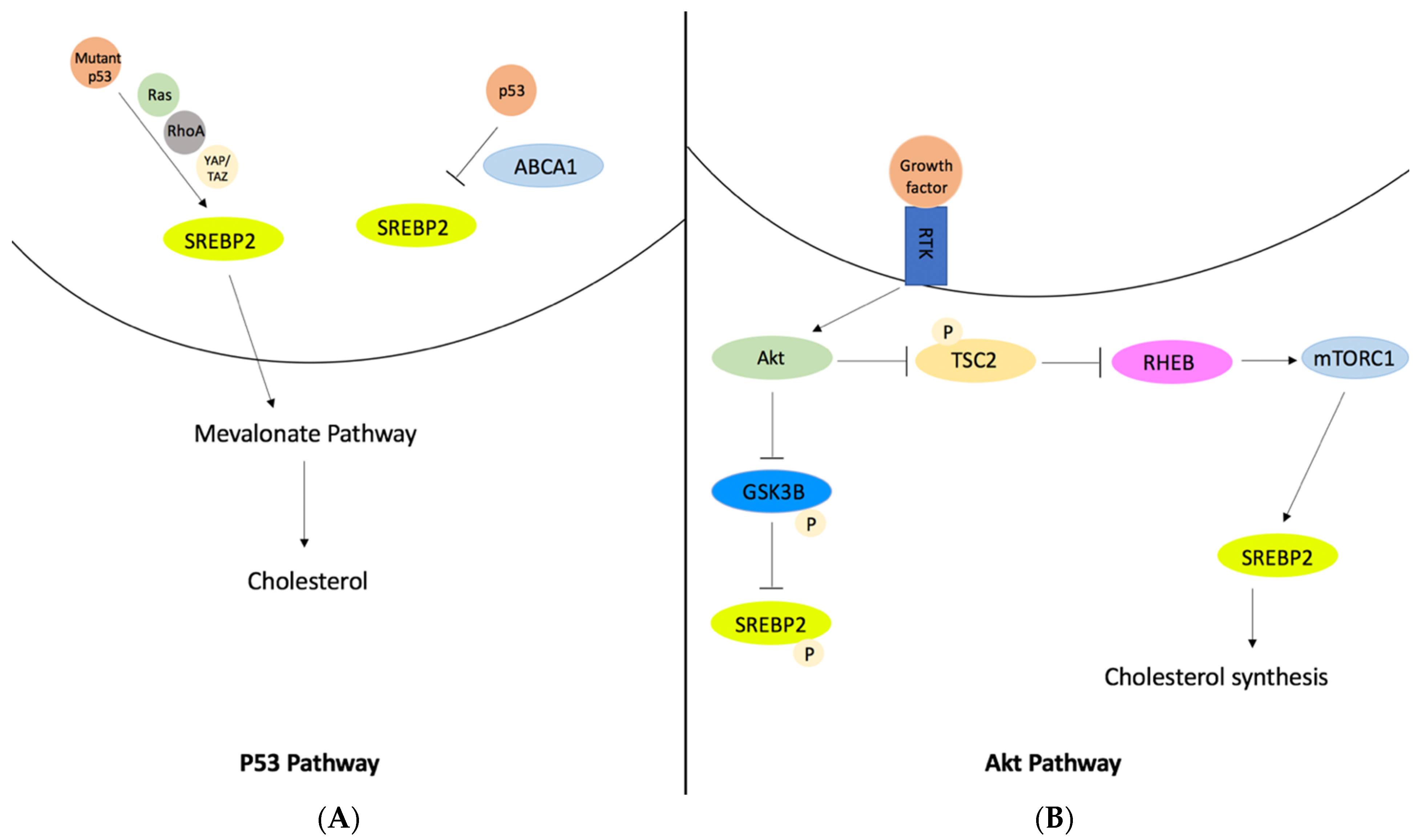 Ijerph 20 06217 g005 Ijerph 20 06217 g005