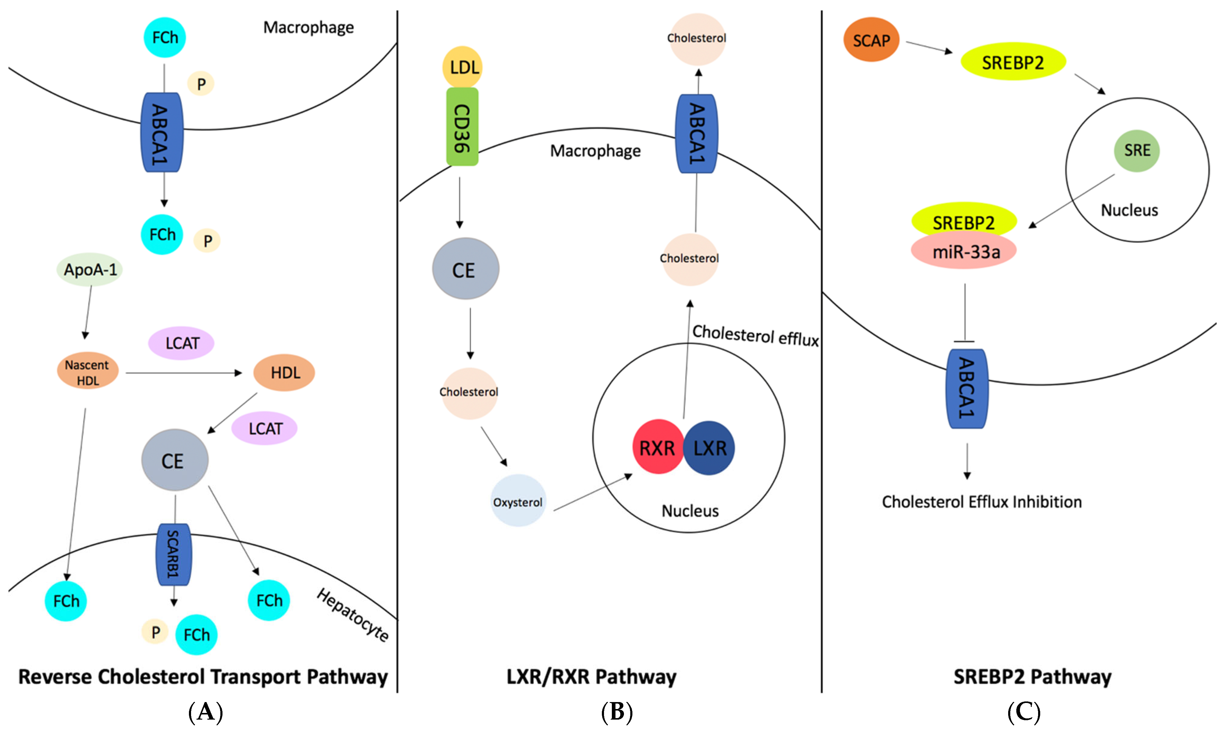 Ijerph 20 06217 g006 Ijerph 20 06217 g006