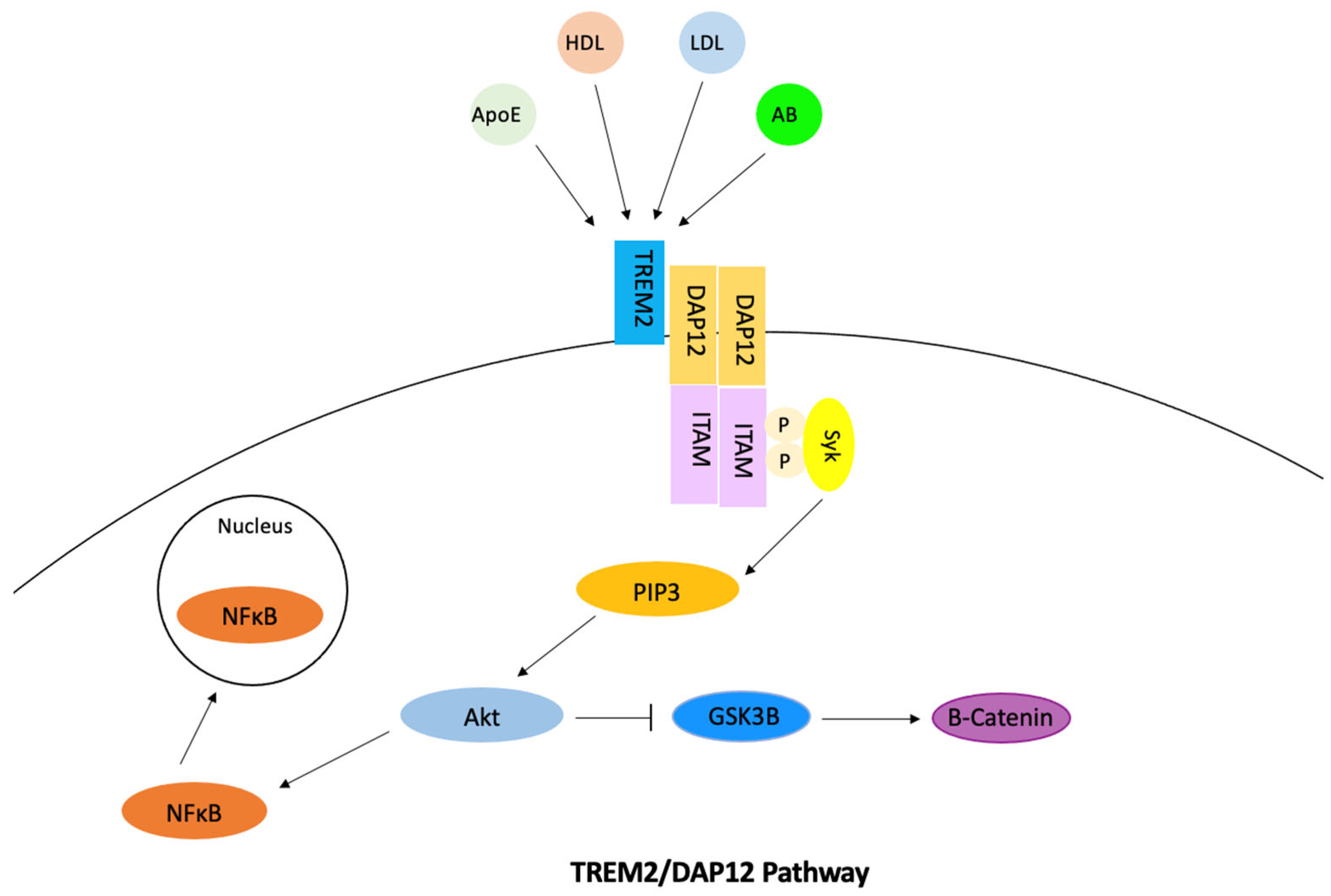 Ijerph 20 06217 g007 Ijerph 20 06217 g007