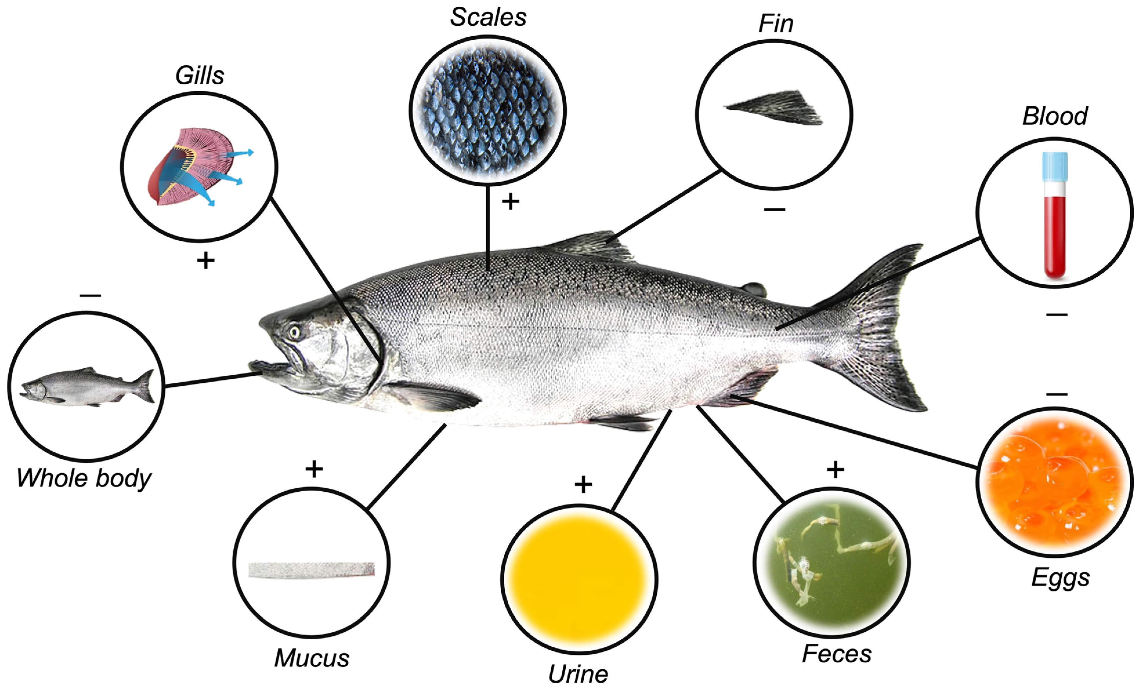 Ijerph 20 06237 g001