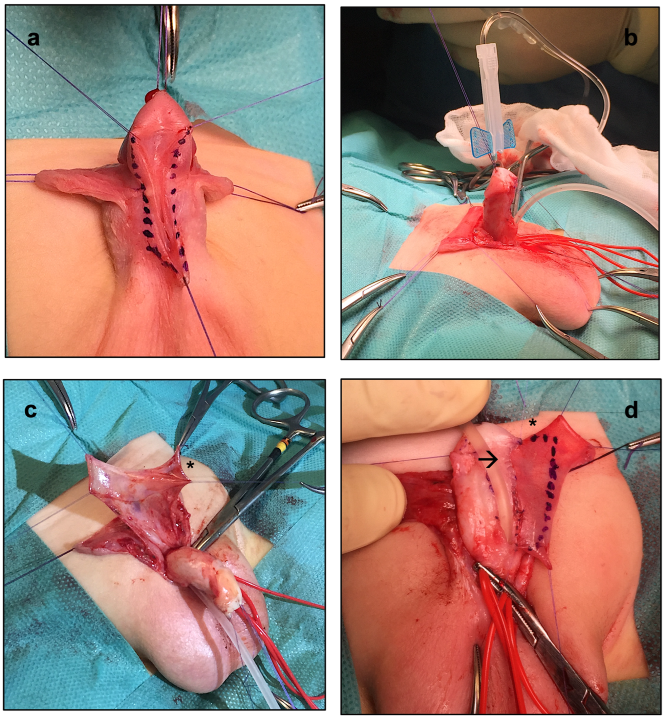 Ijerph 20 06246 g002