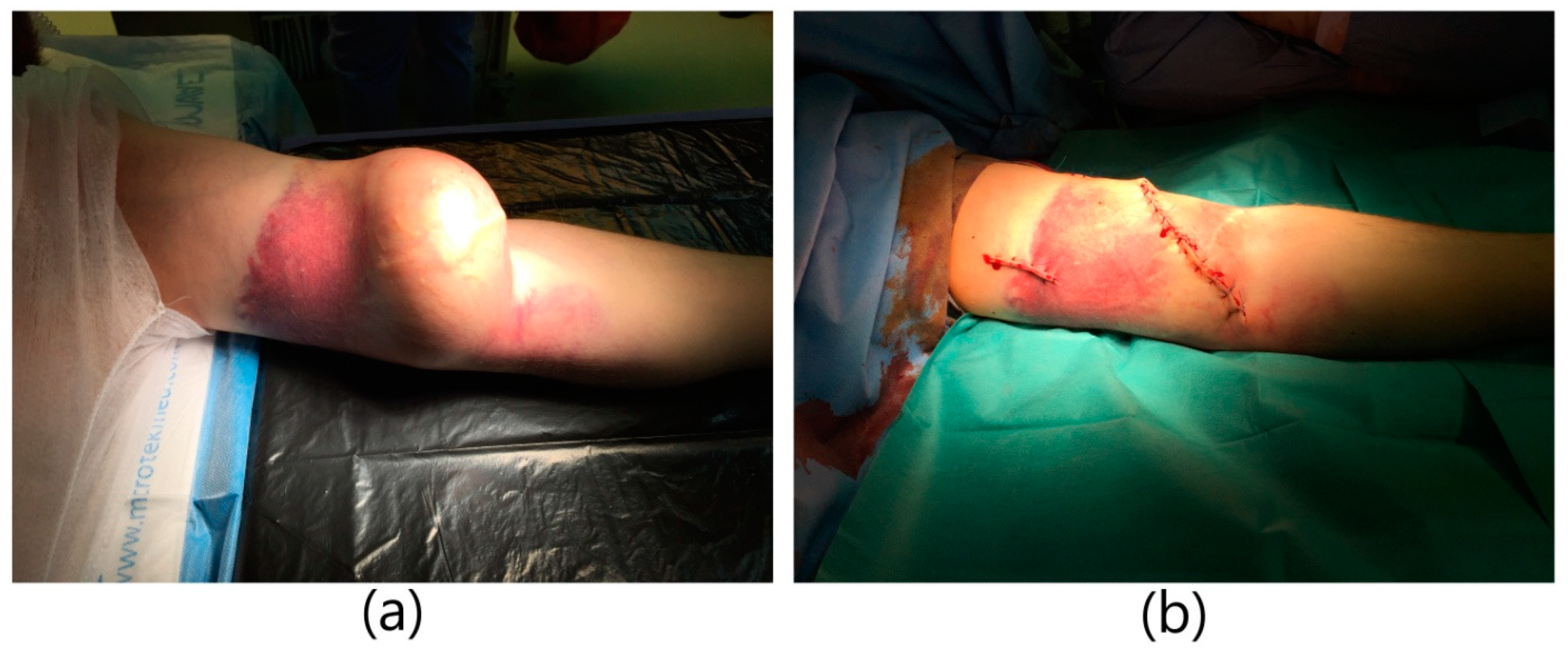 Ijerph 20 06256 g002