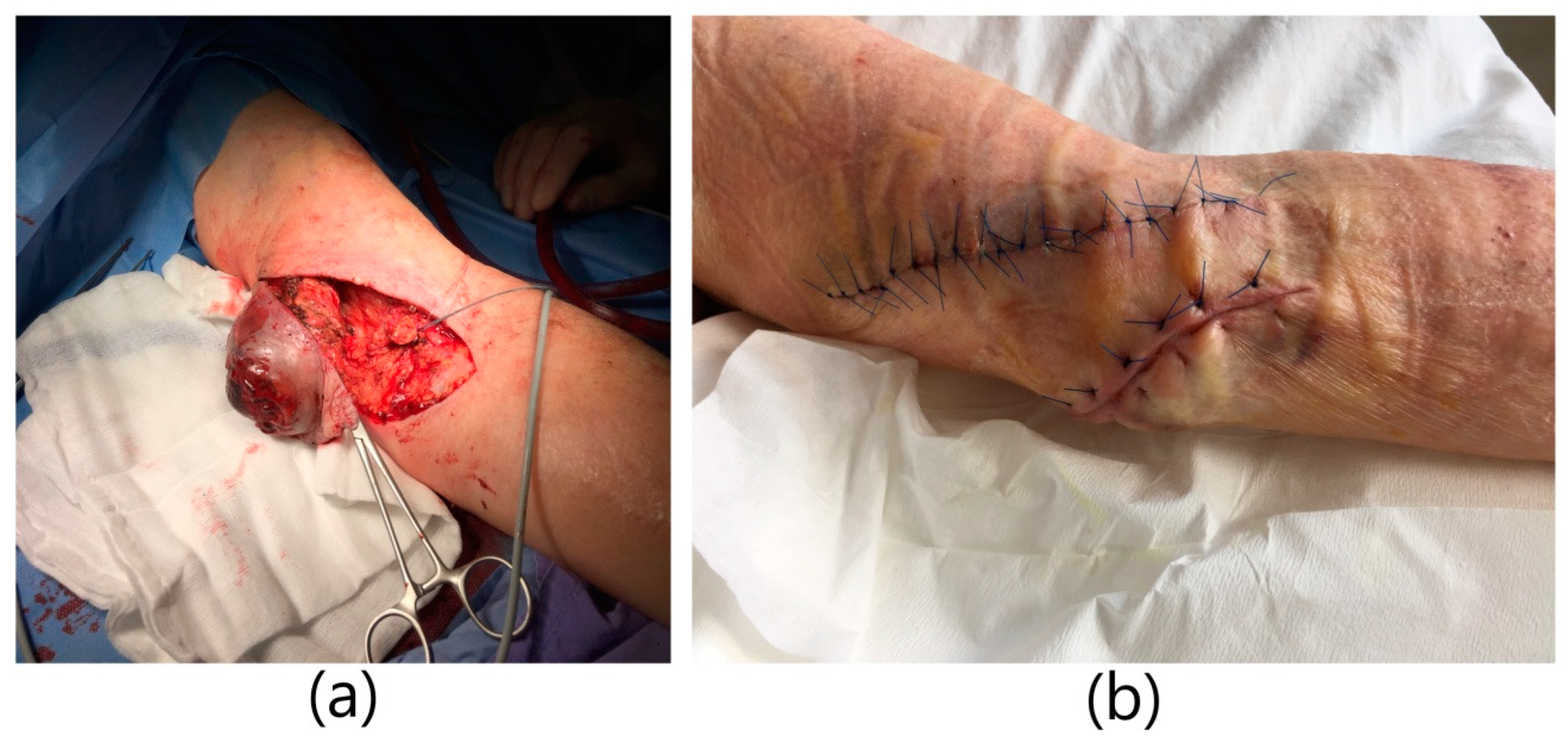 Ijerph 20 06256 g003