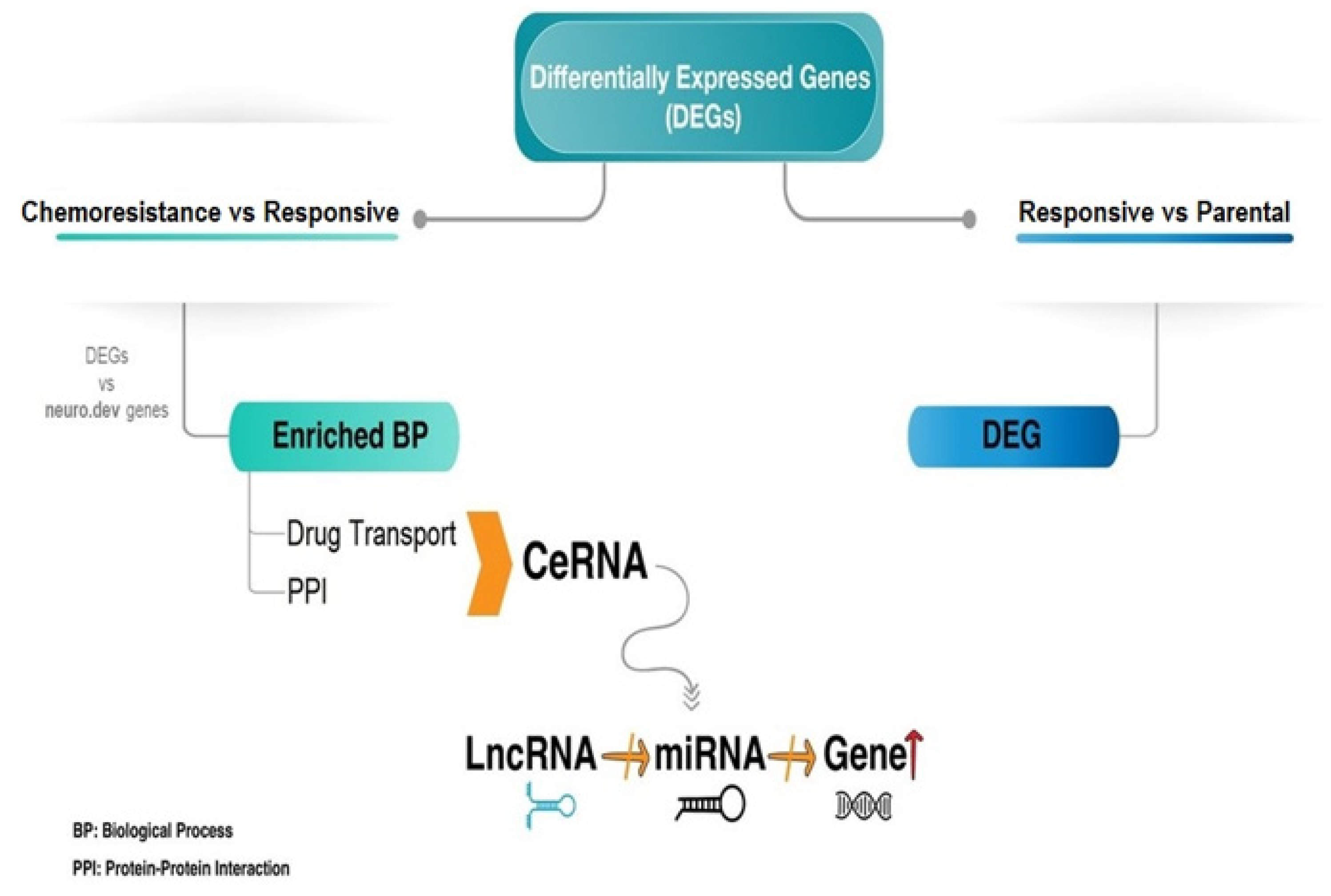 Ijerph 20 06288 g001