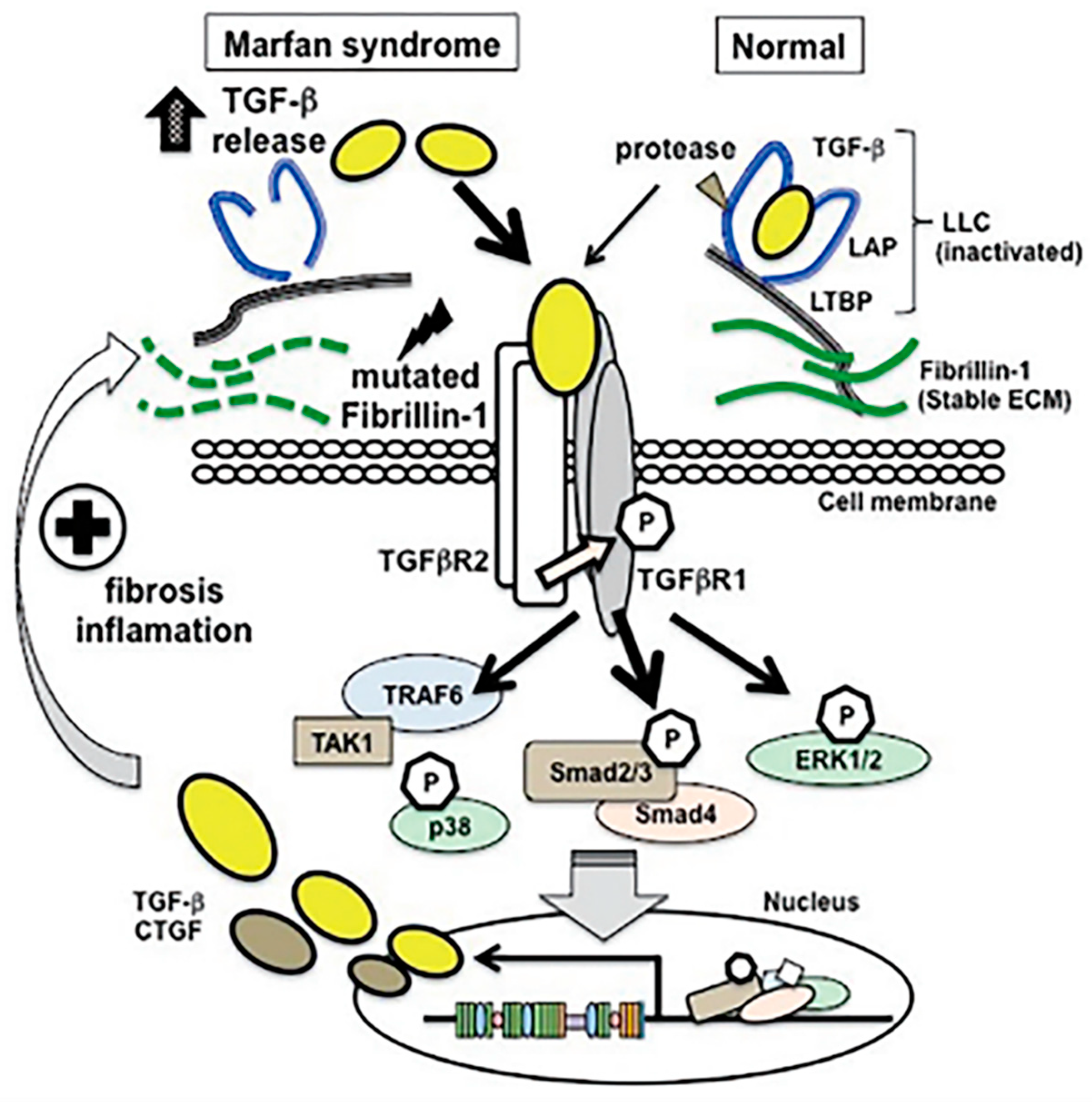 Ijerph 20 06615 g002