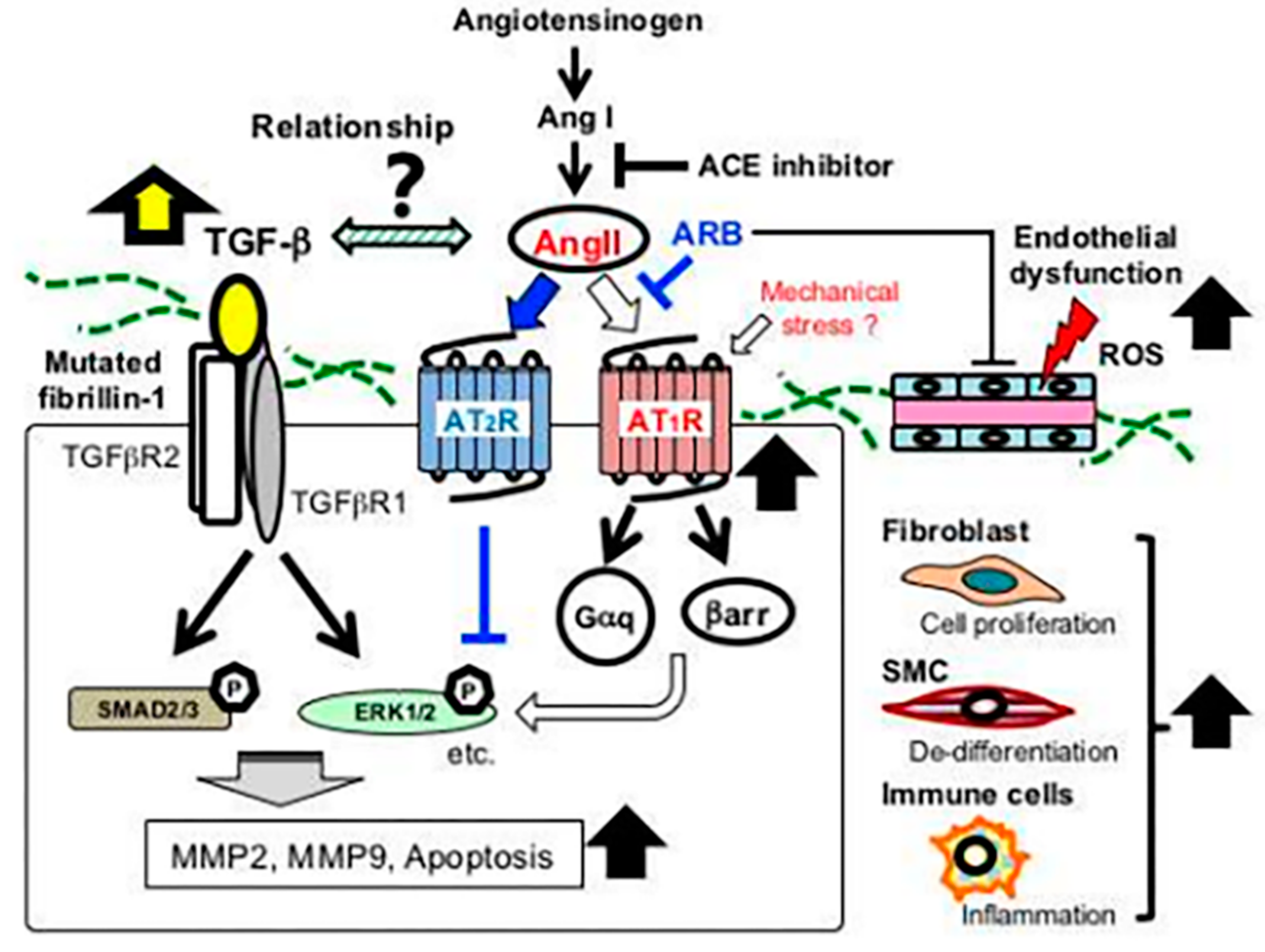 Ijerph 20 06615 g003