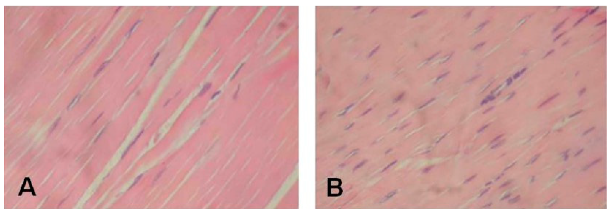 Ijerph 20 06681 g002