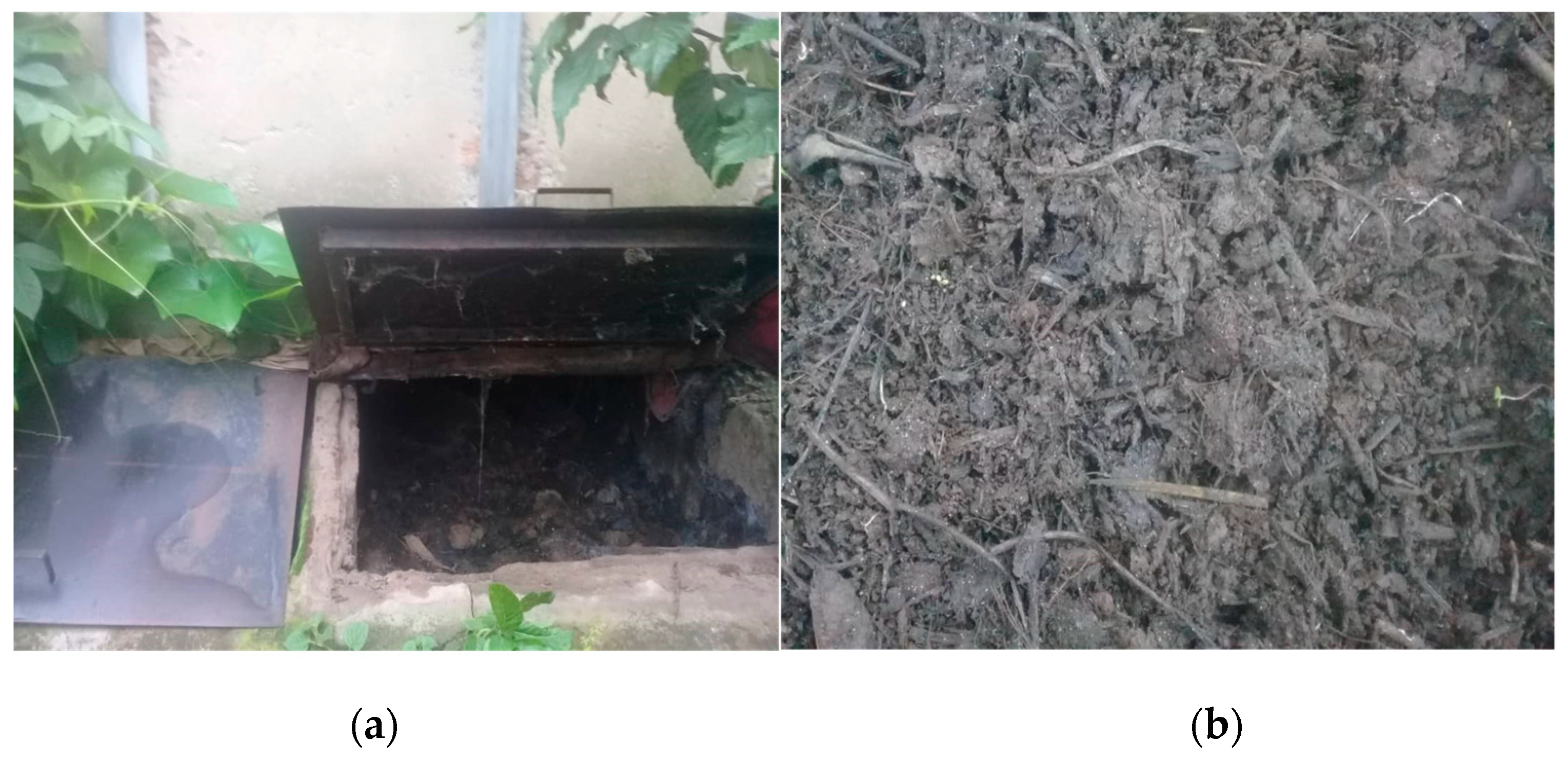 Ijerph 20 06743 g002