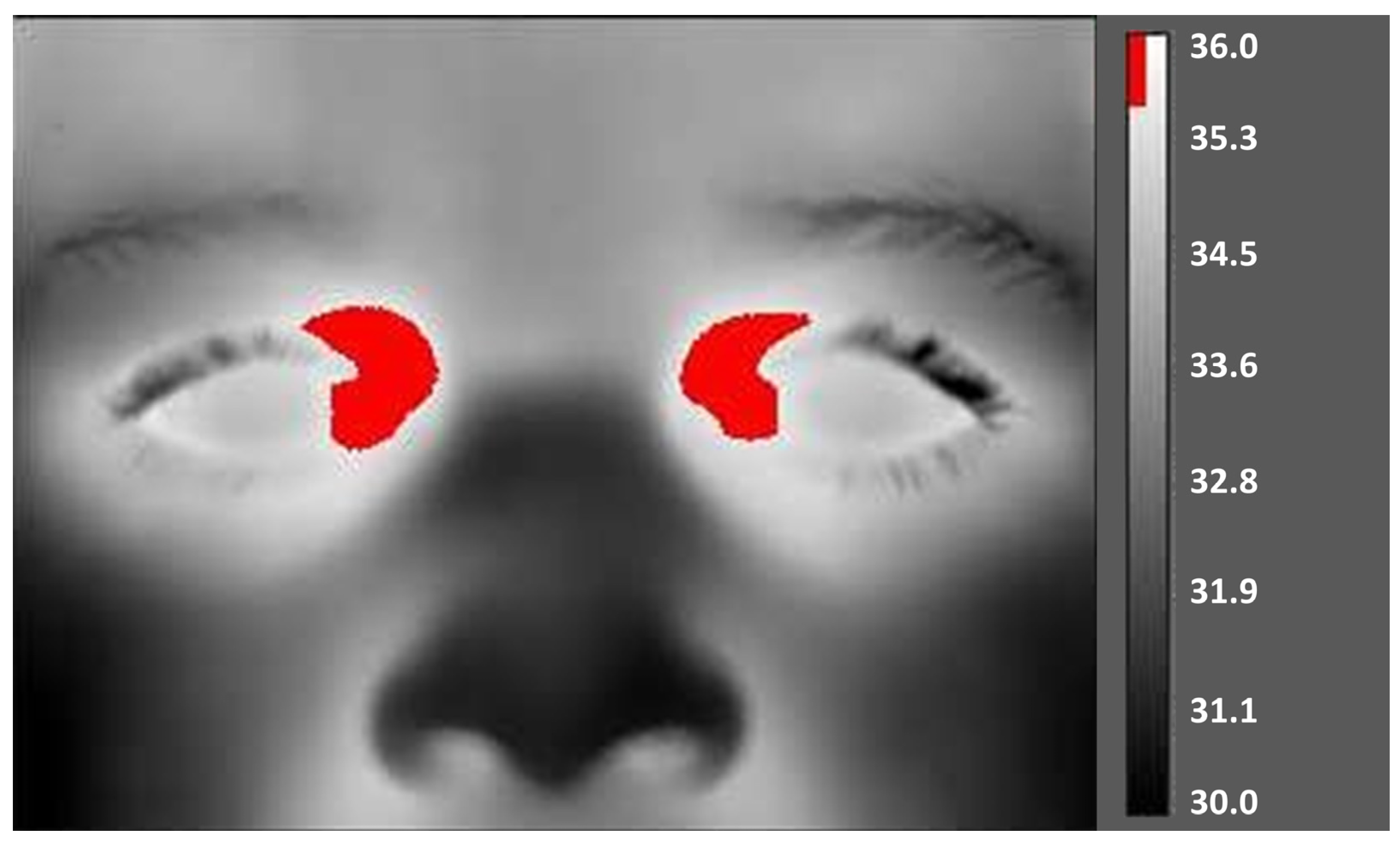 Ijerph 20 06867 g001