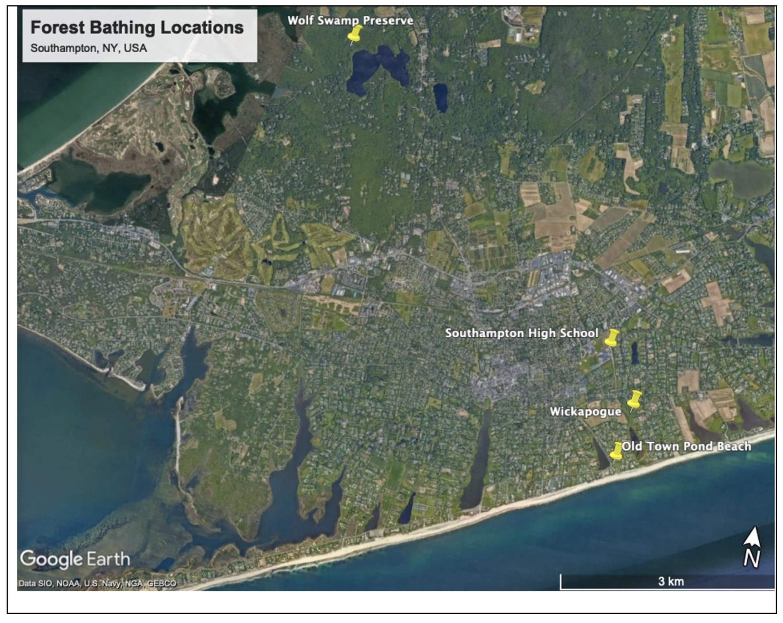 Ijerph 21 00008 g001