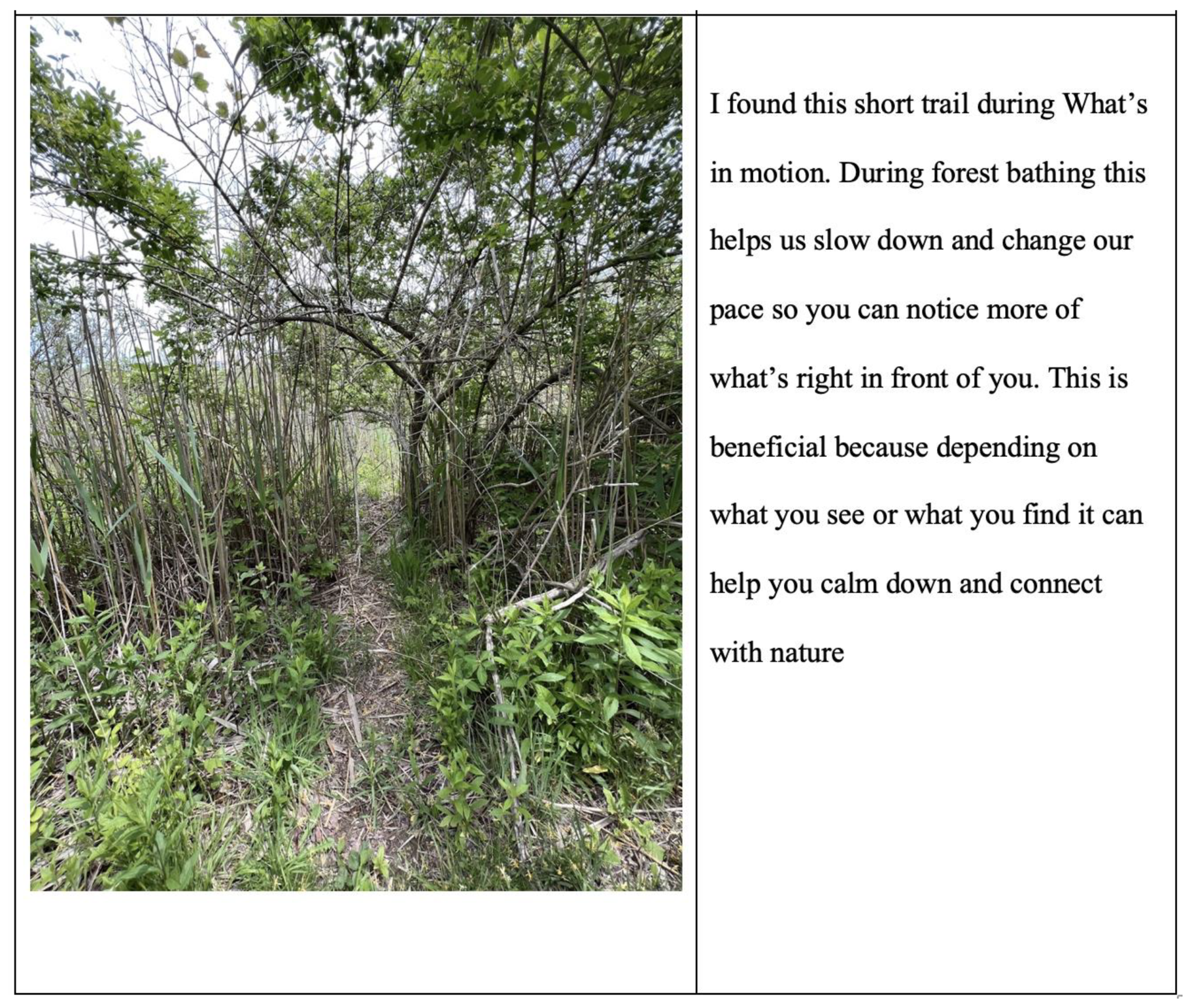 Ijerph 21 00008 g005