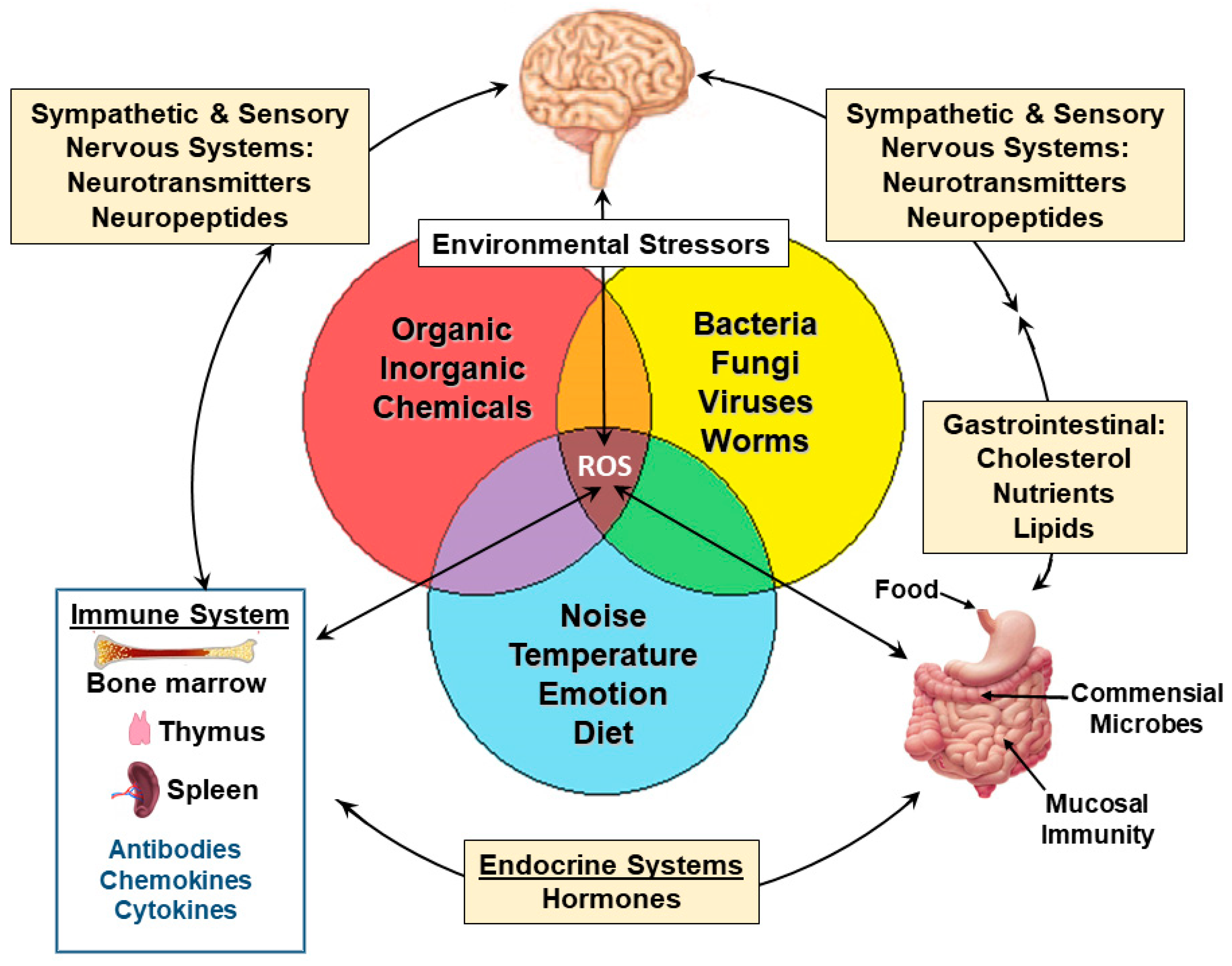 Ijerph 21 00028 g001