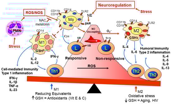 Ijerph 21 00028 g003