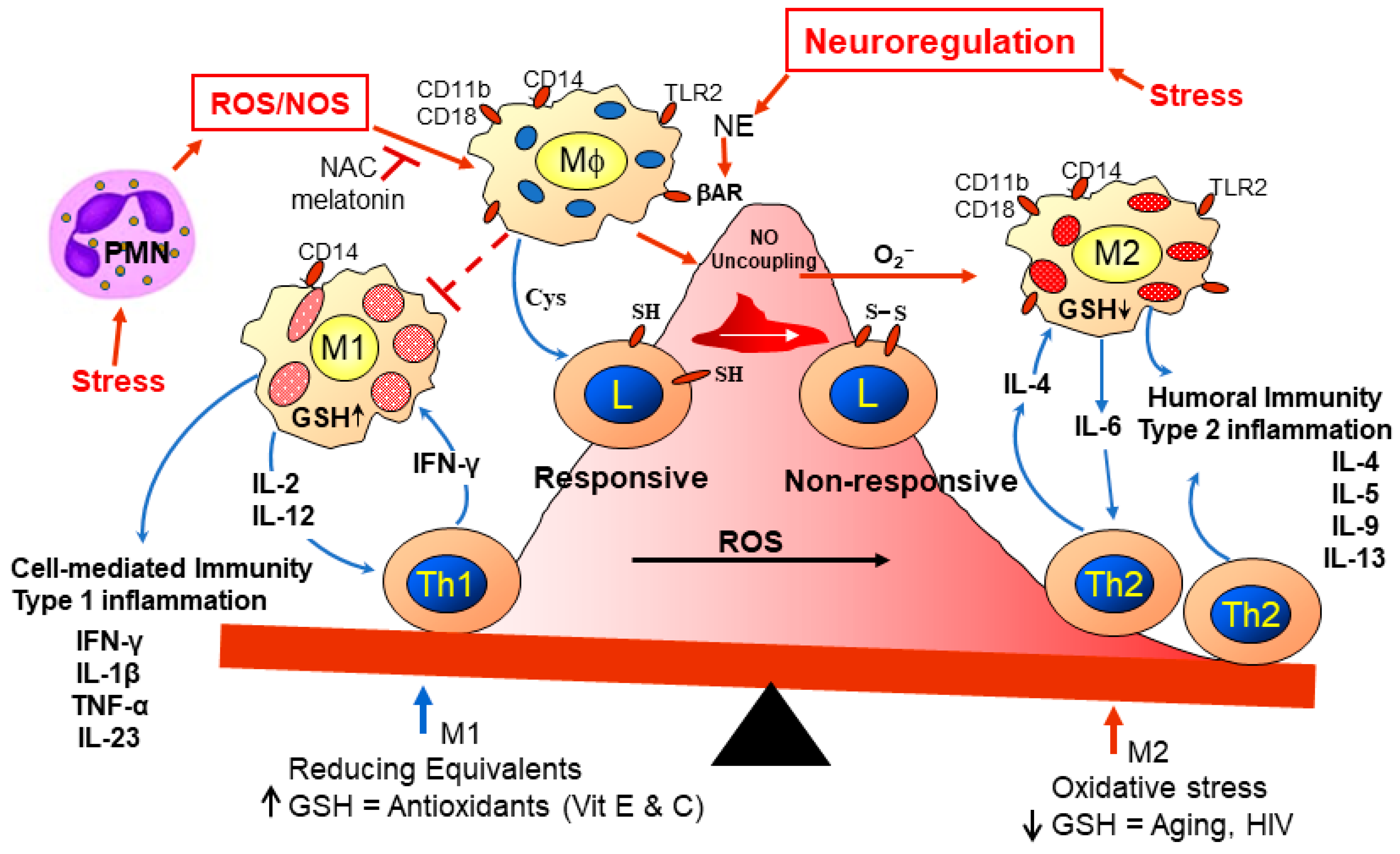 Ijerph 21 00028 g003