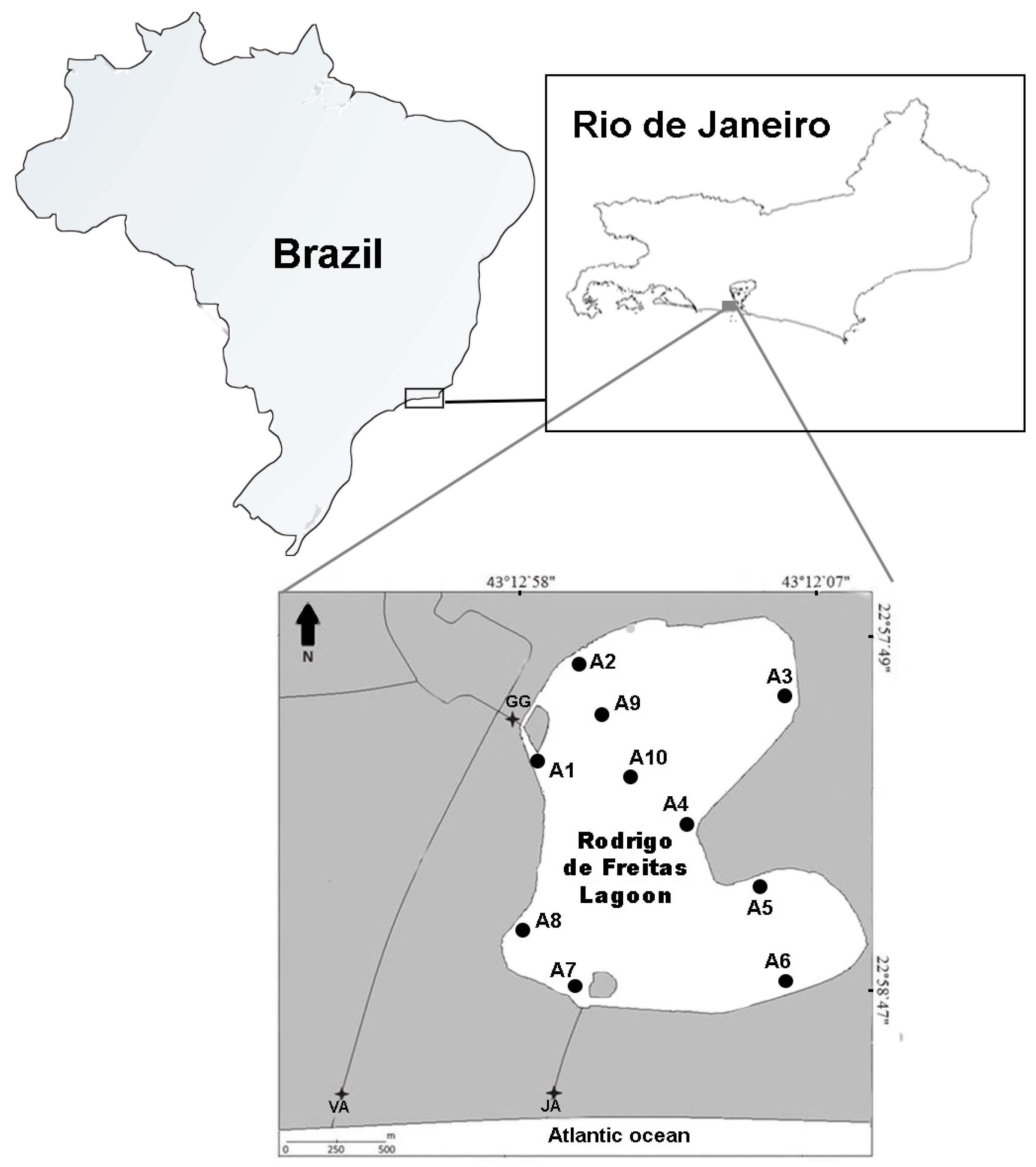 Ijerph 21 00044 g001