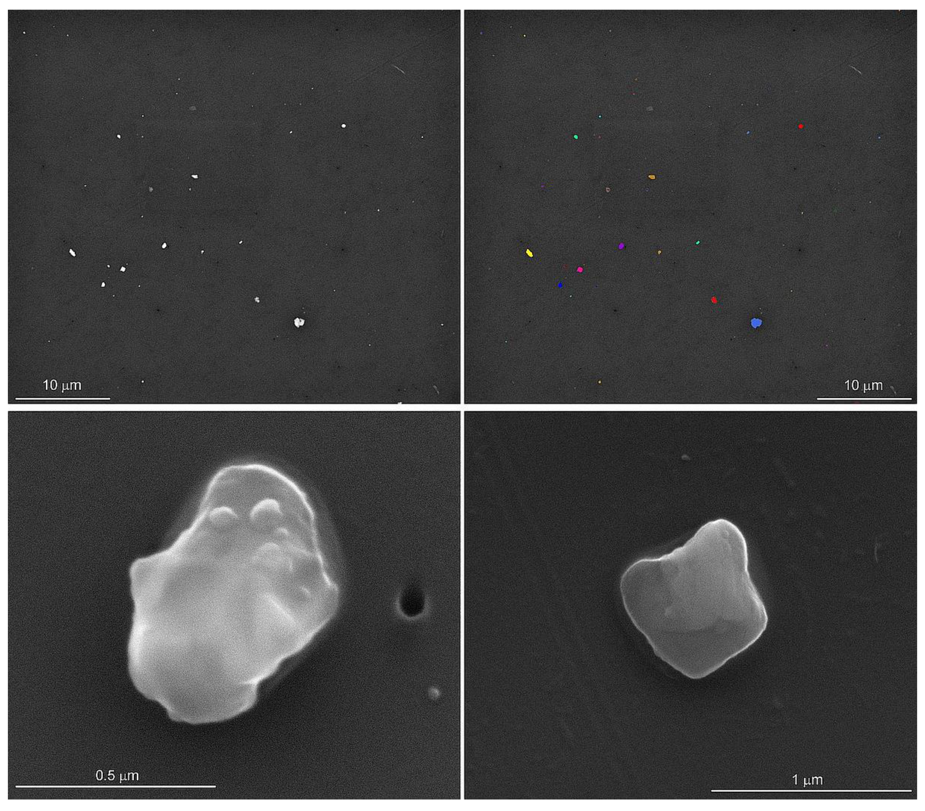 Ijerph 21 00091 g001